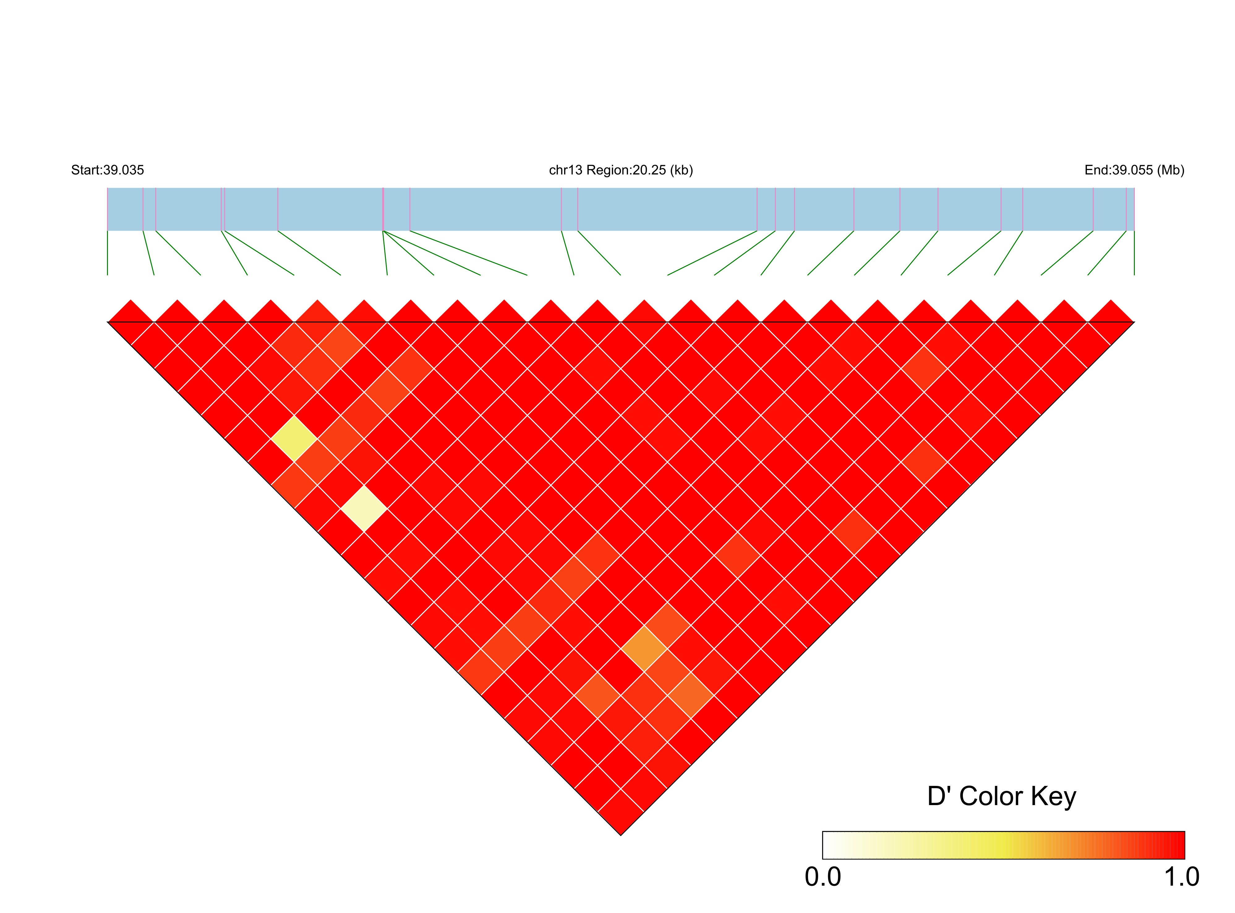 LD