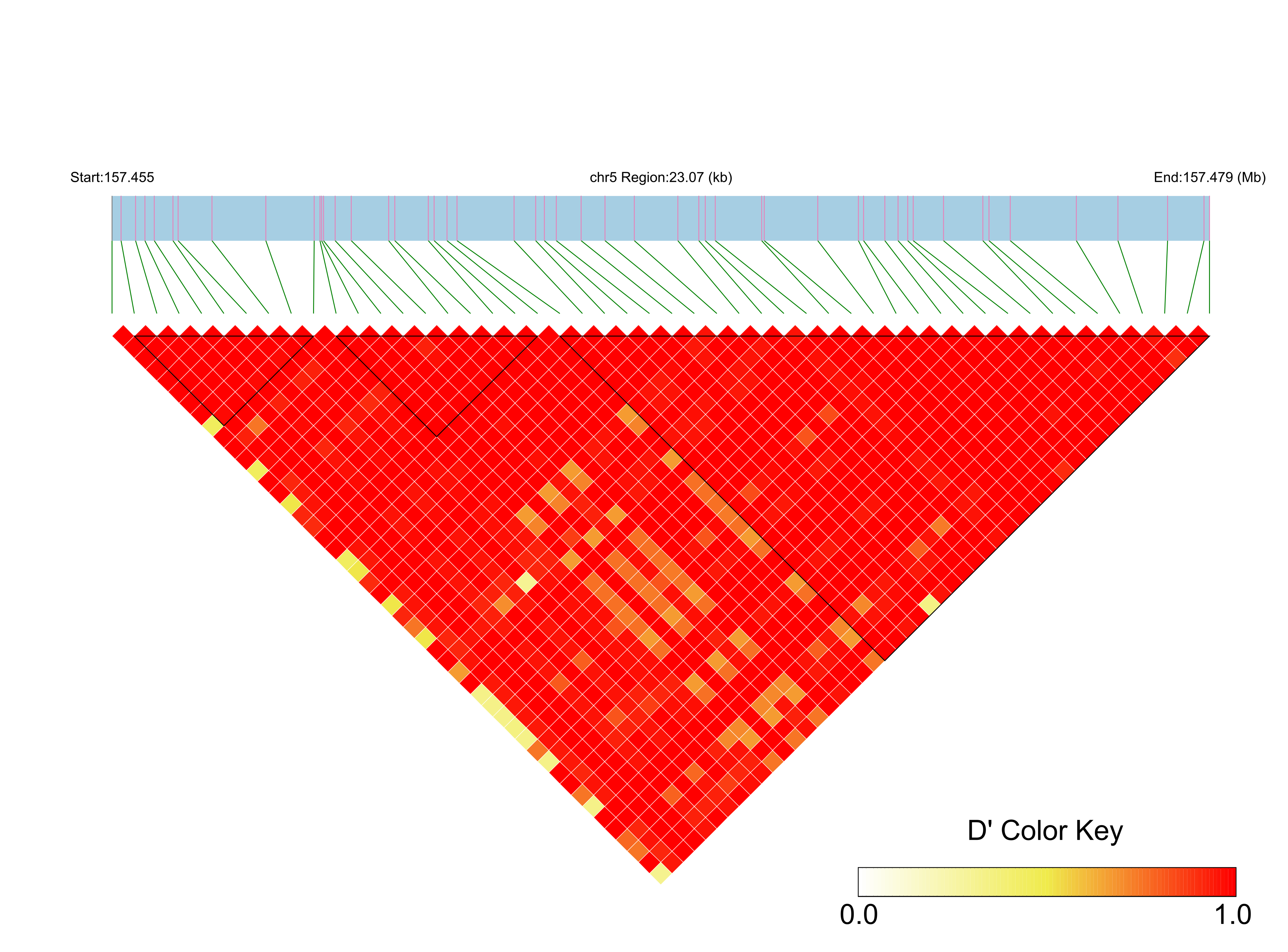 LD