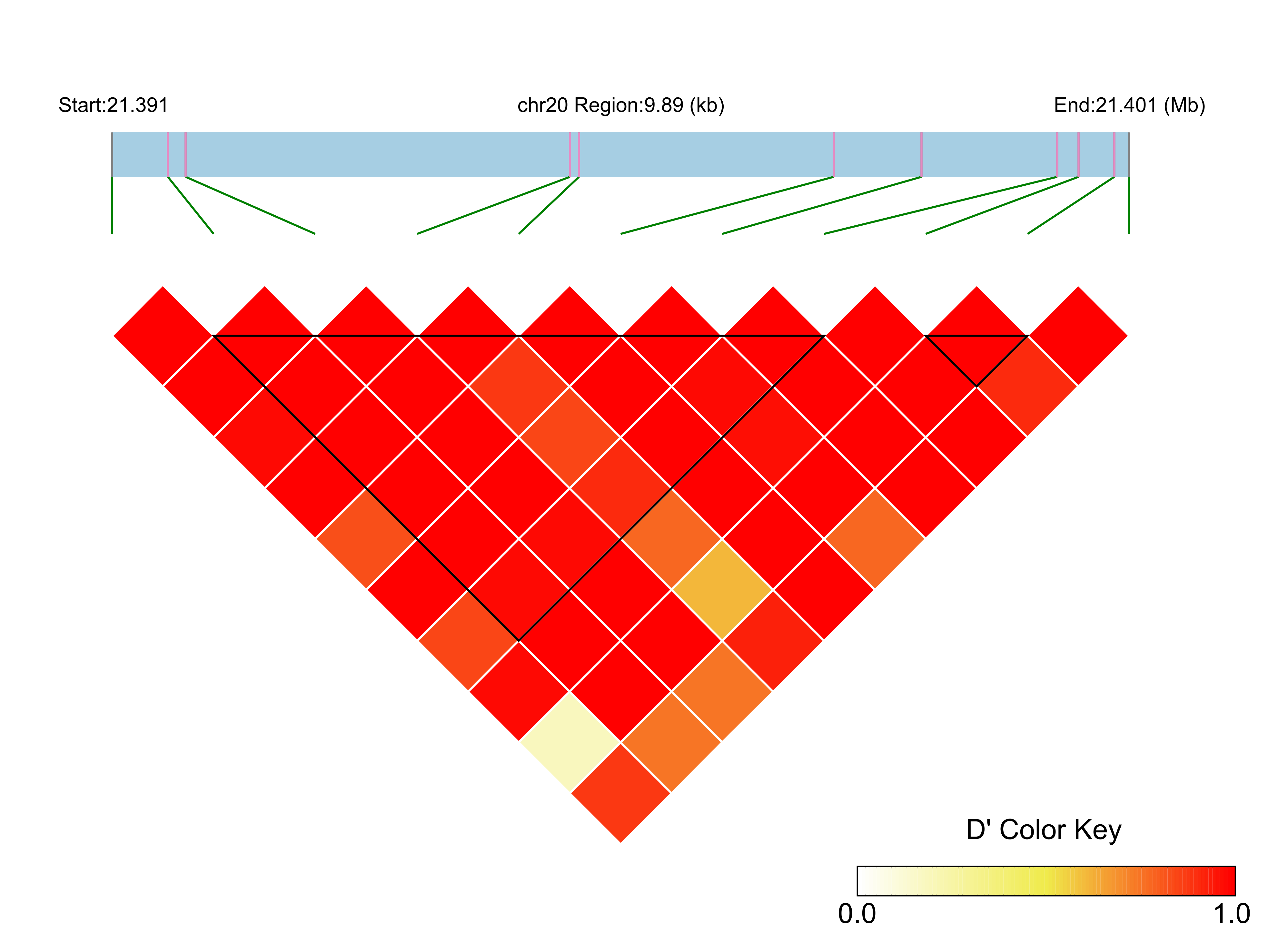 LD