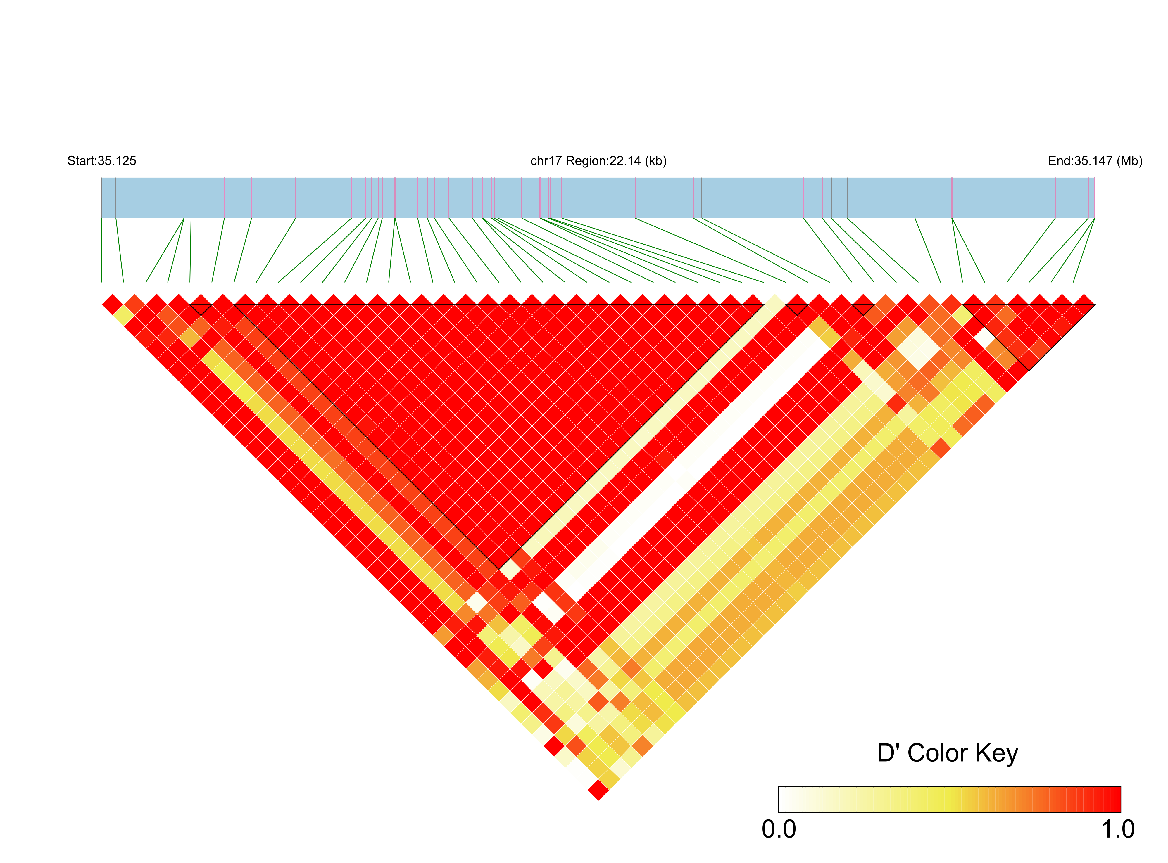 LD