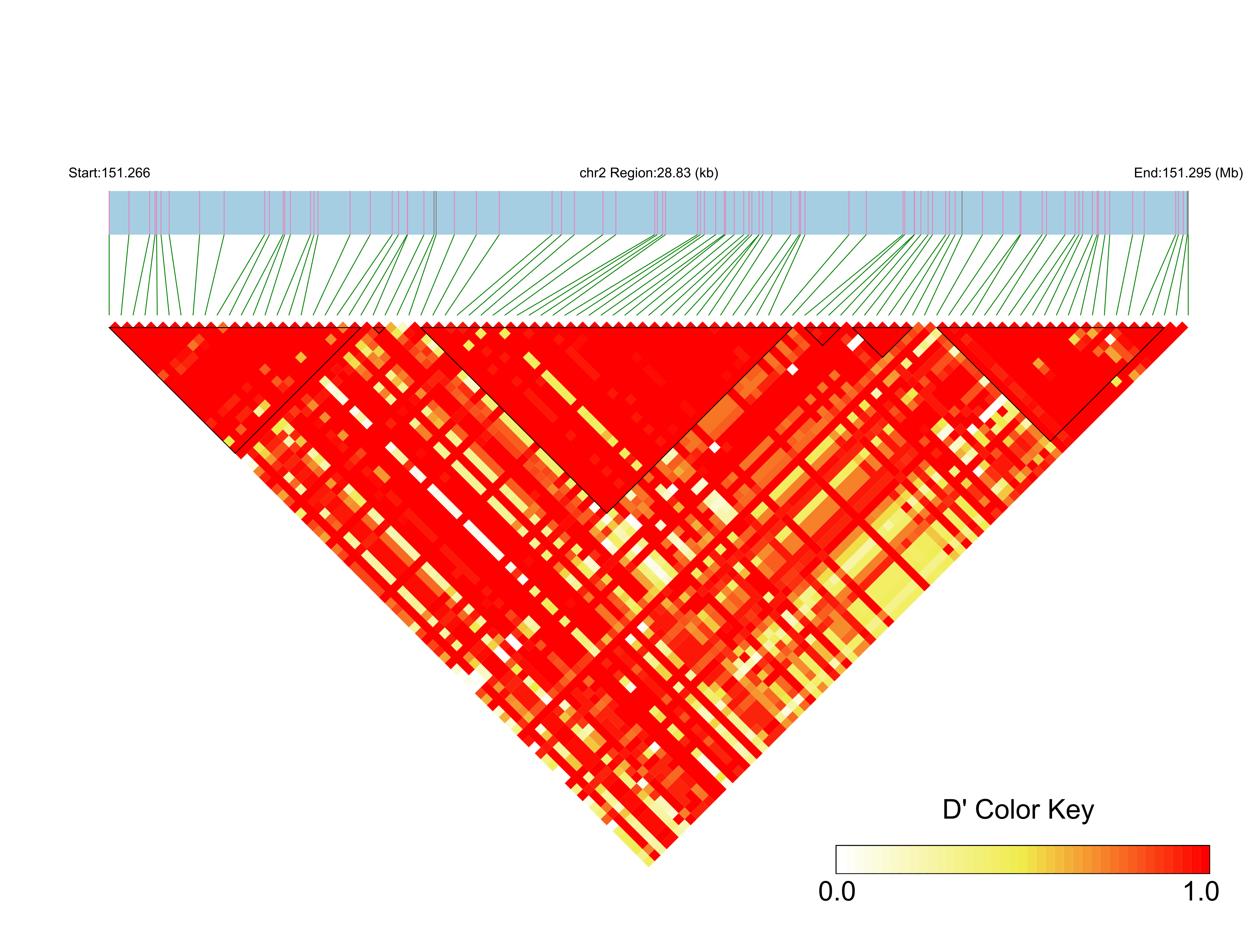 LD