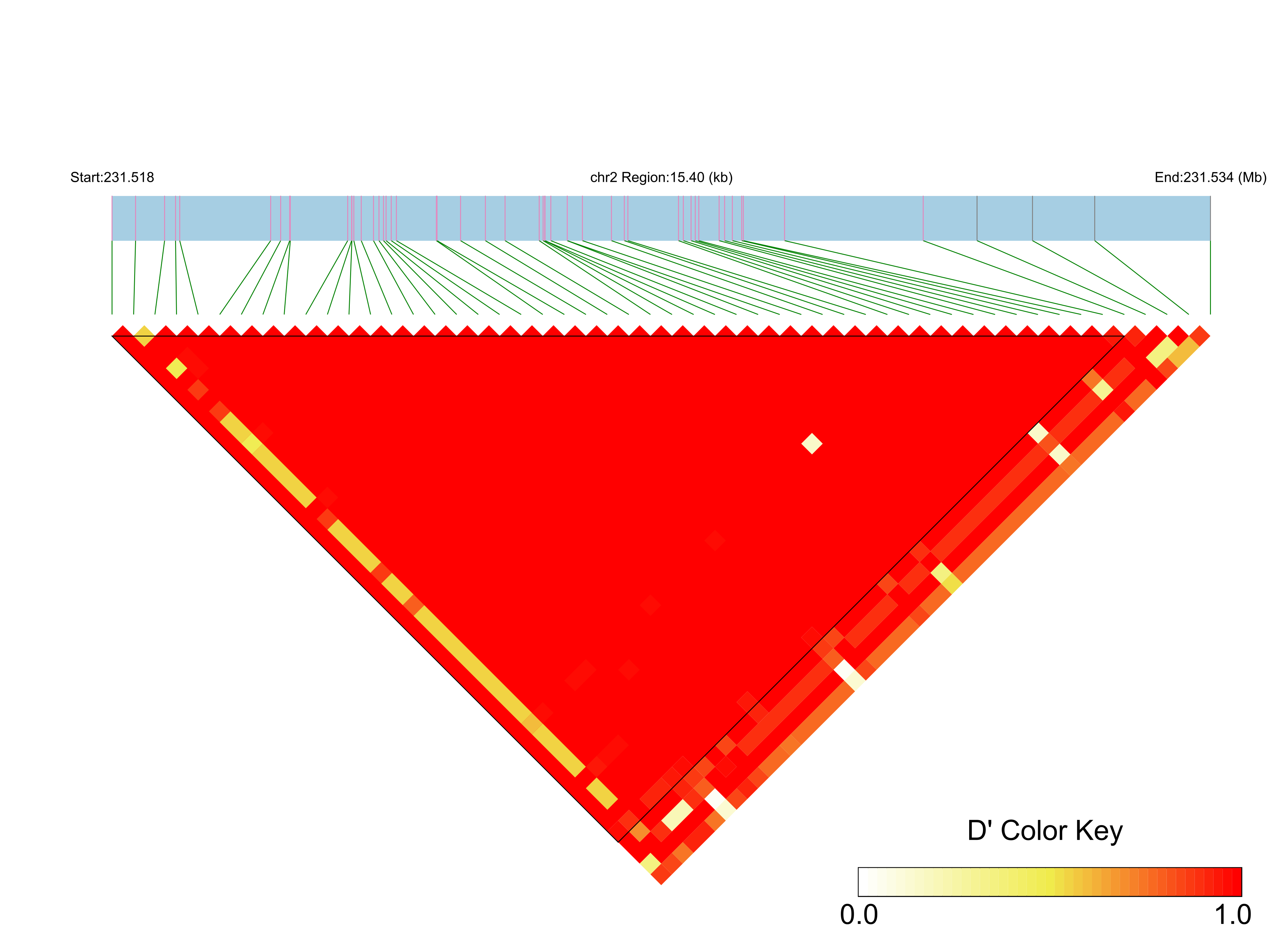 LD