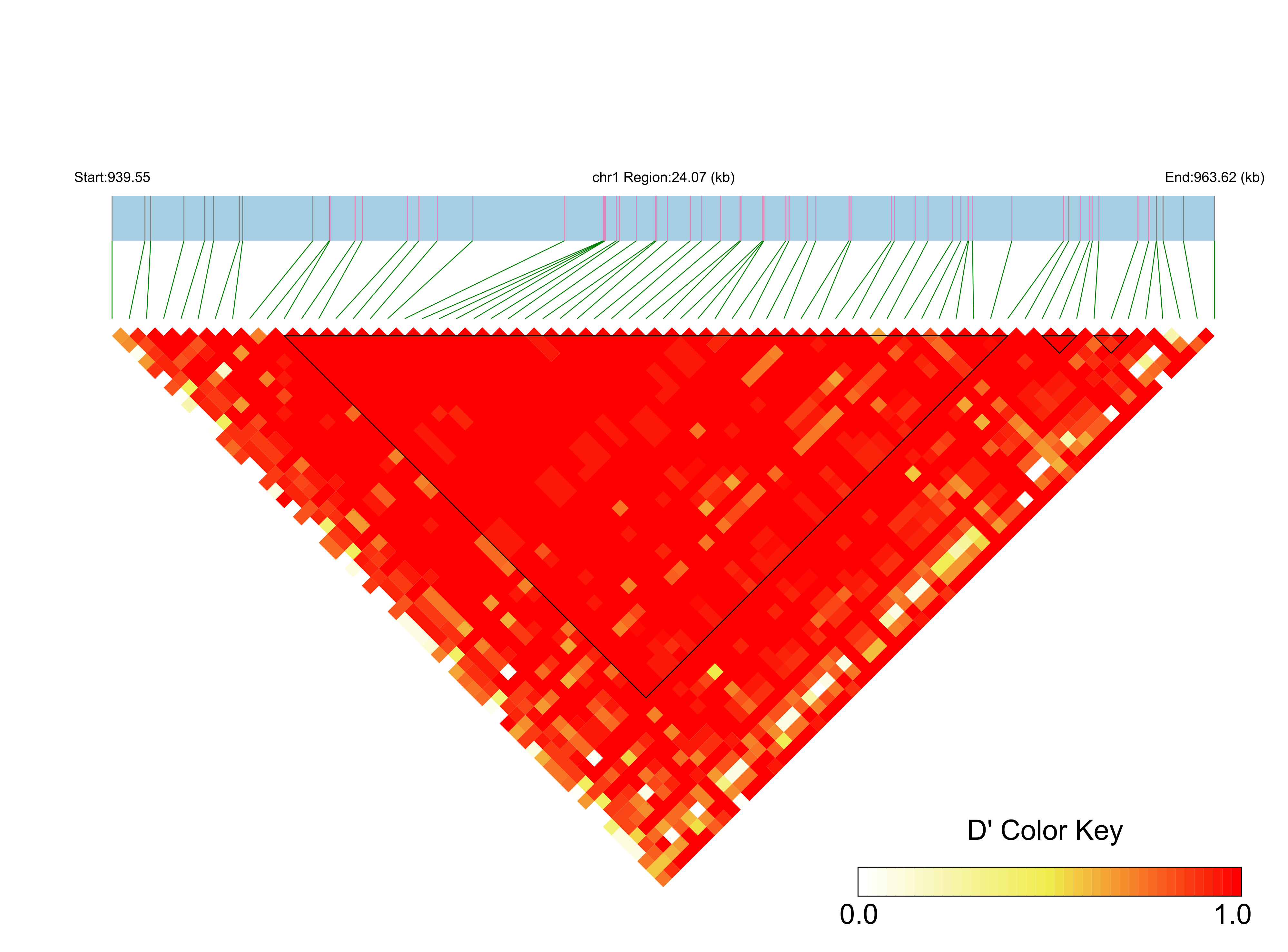 LD