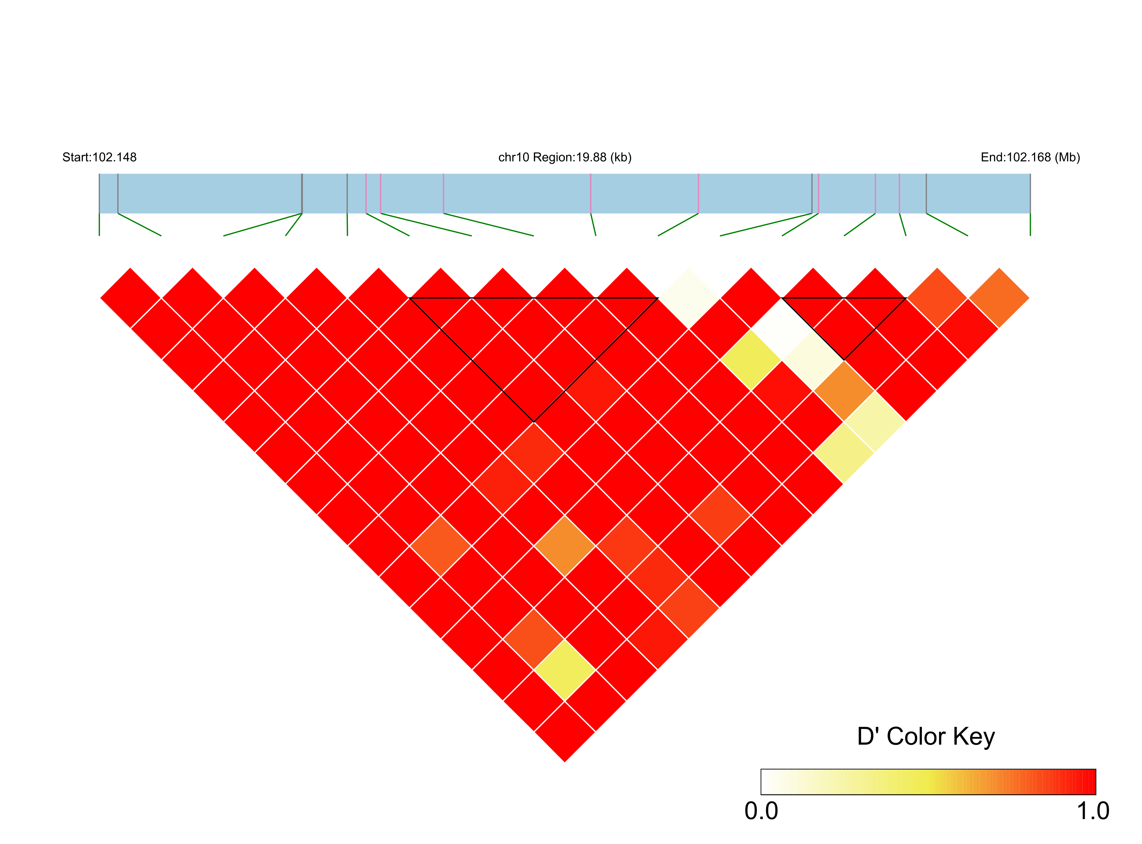 LD