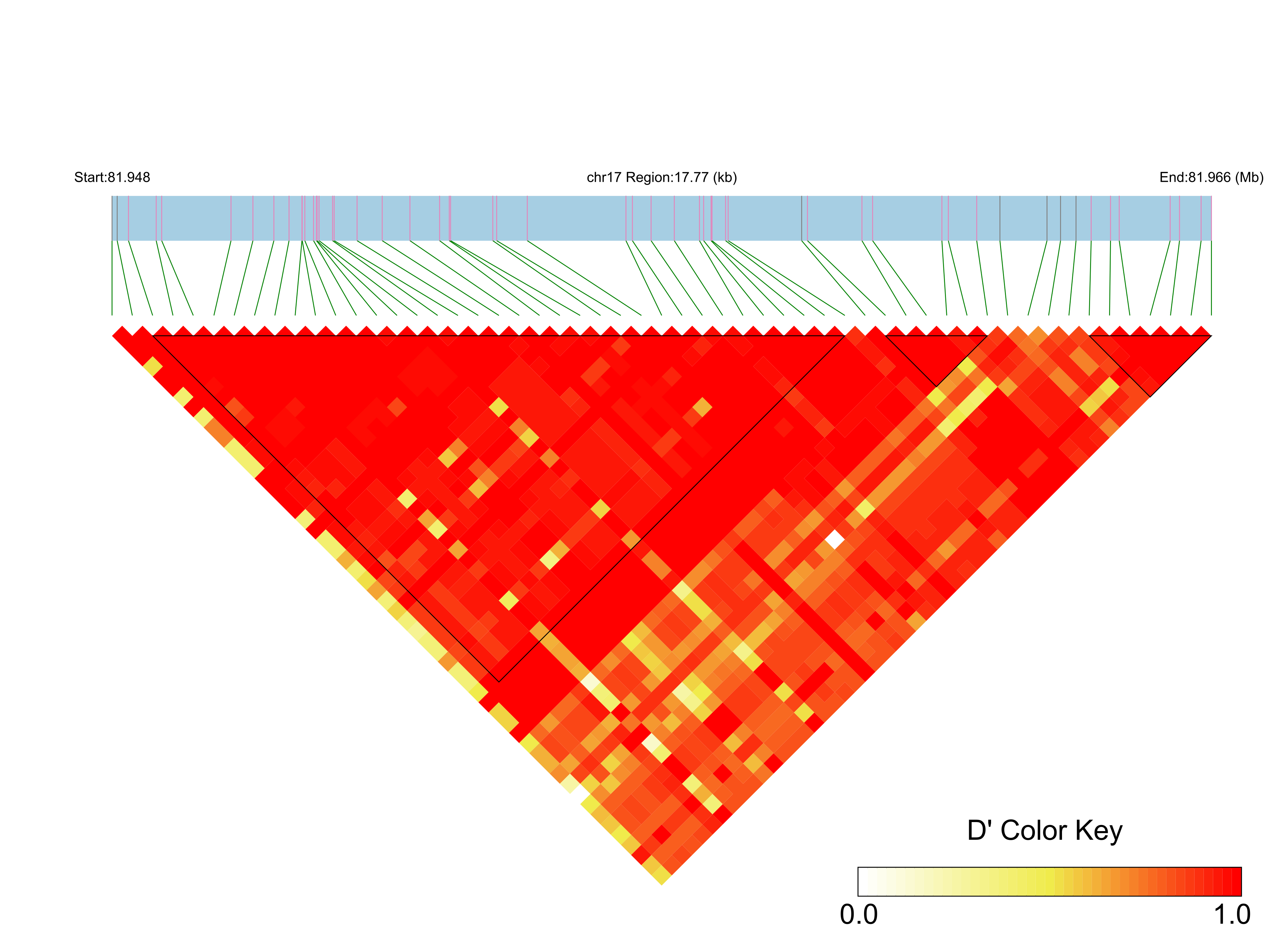 LD