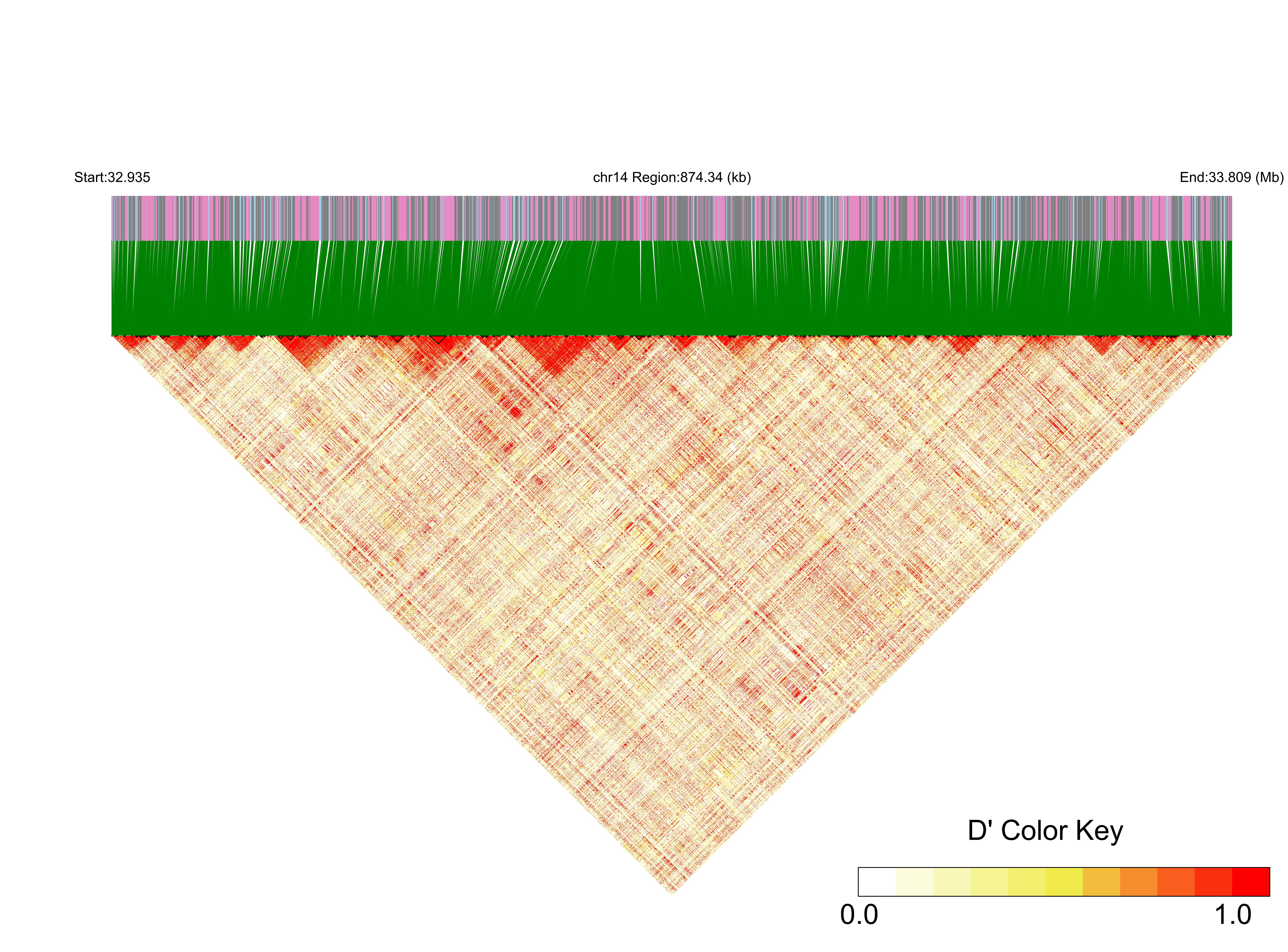 LD