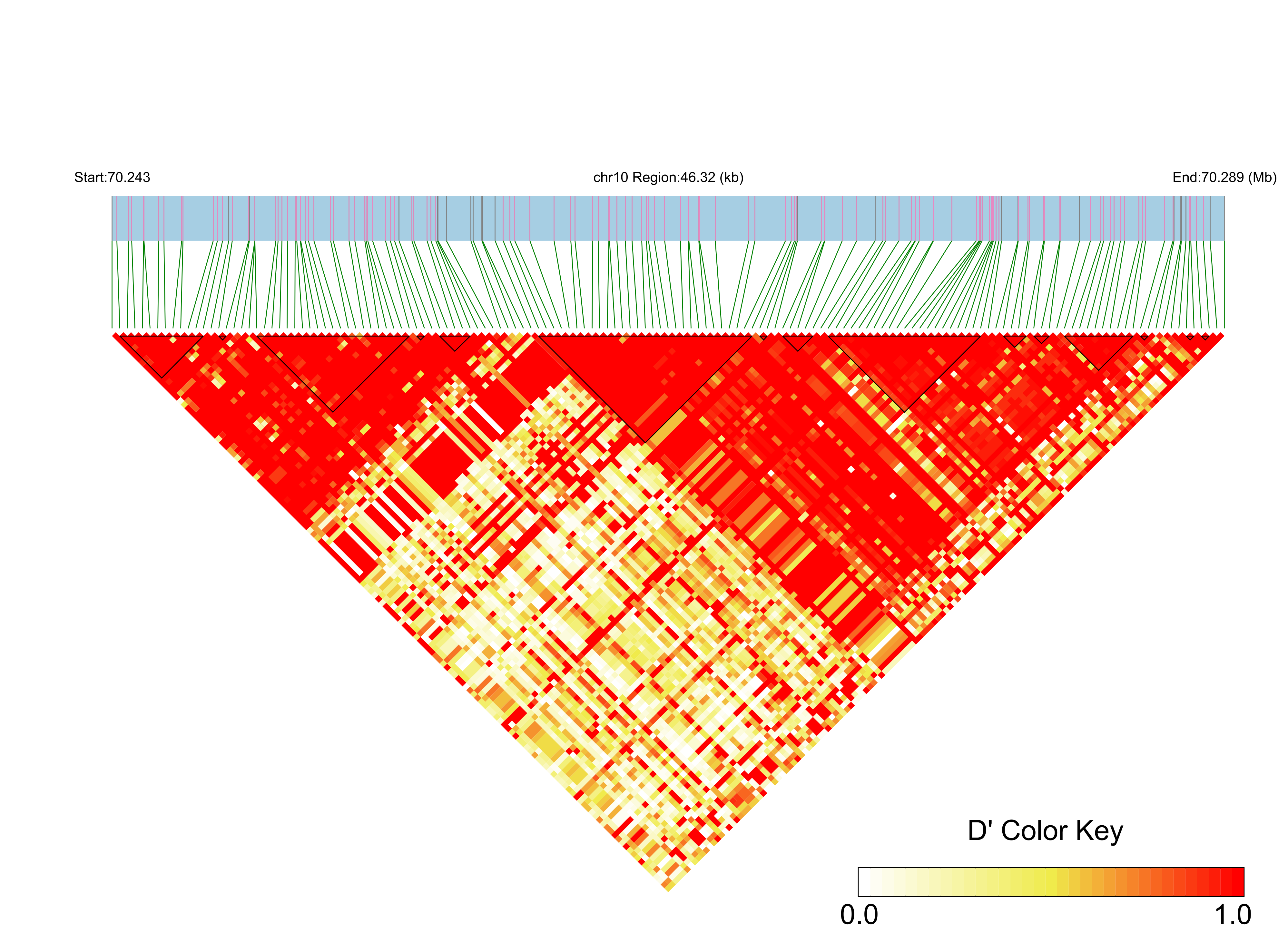LD
