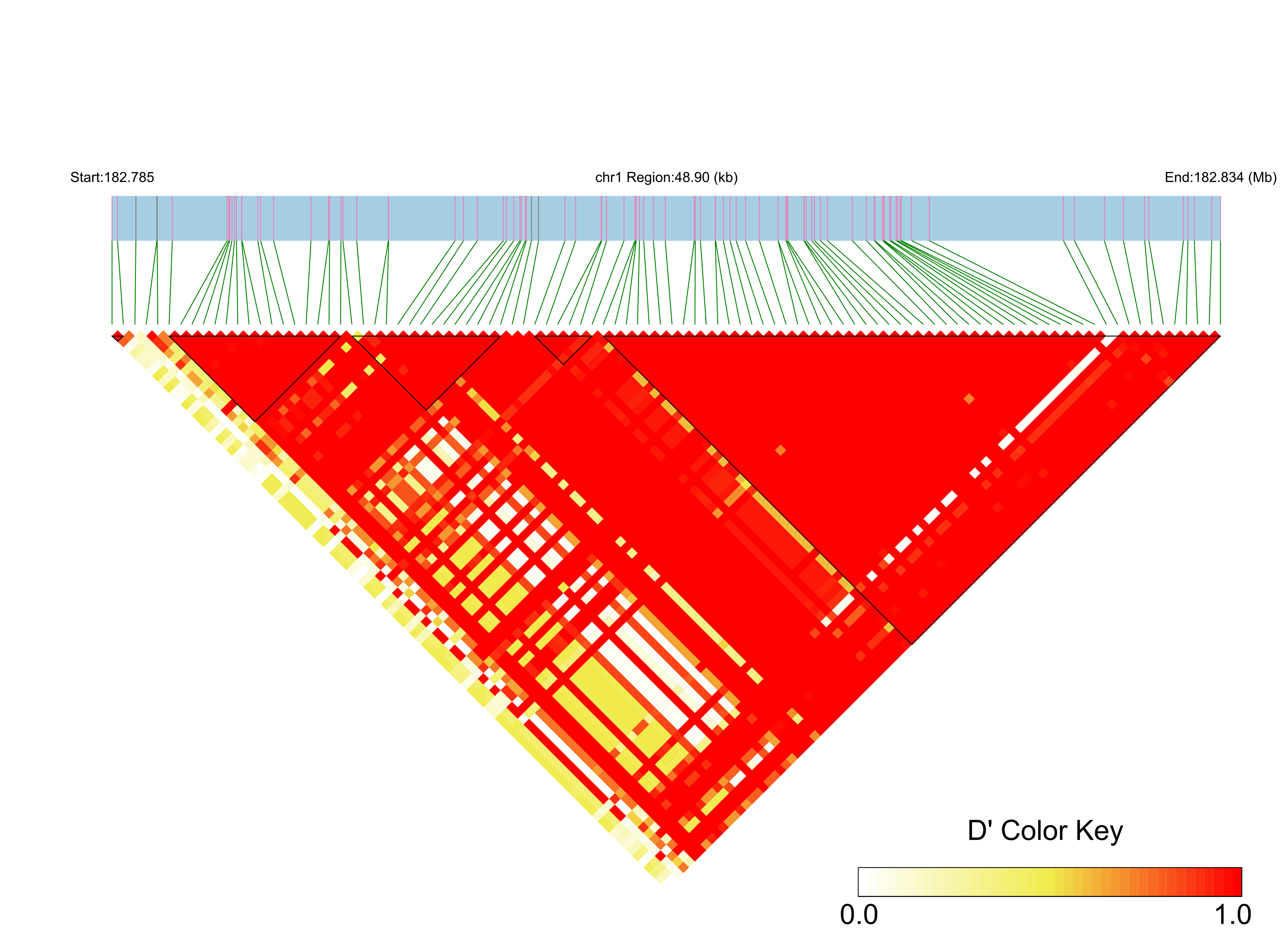 LD