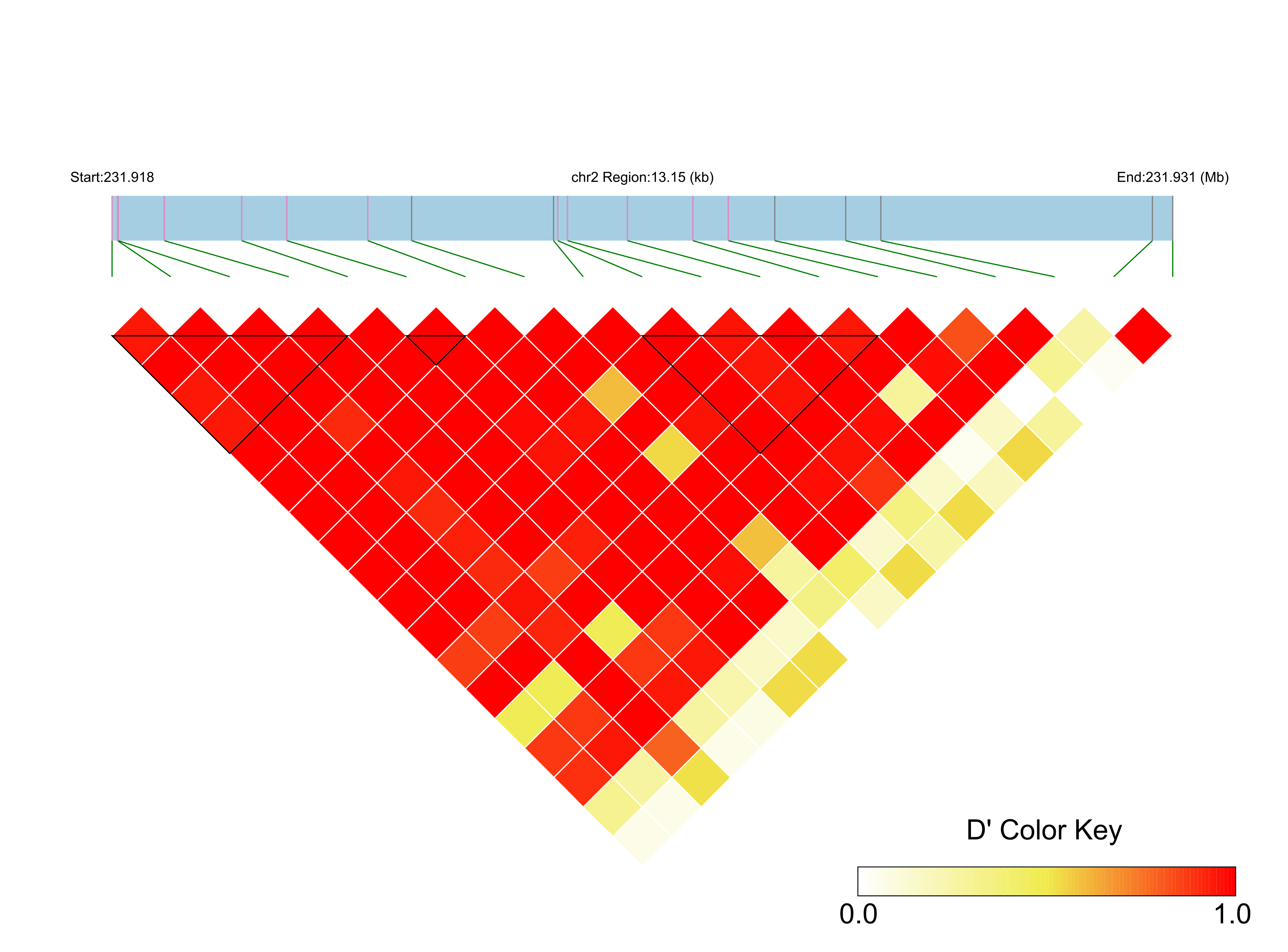 LD