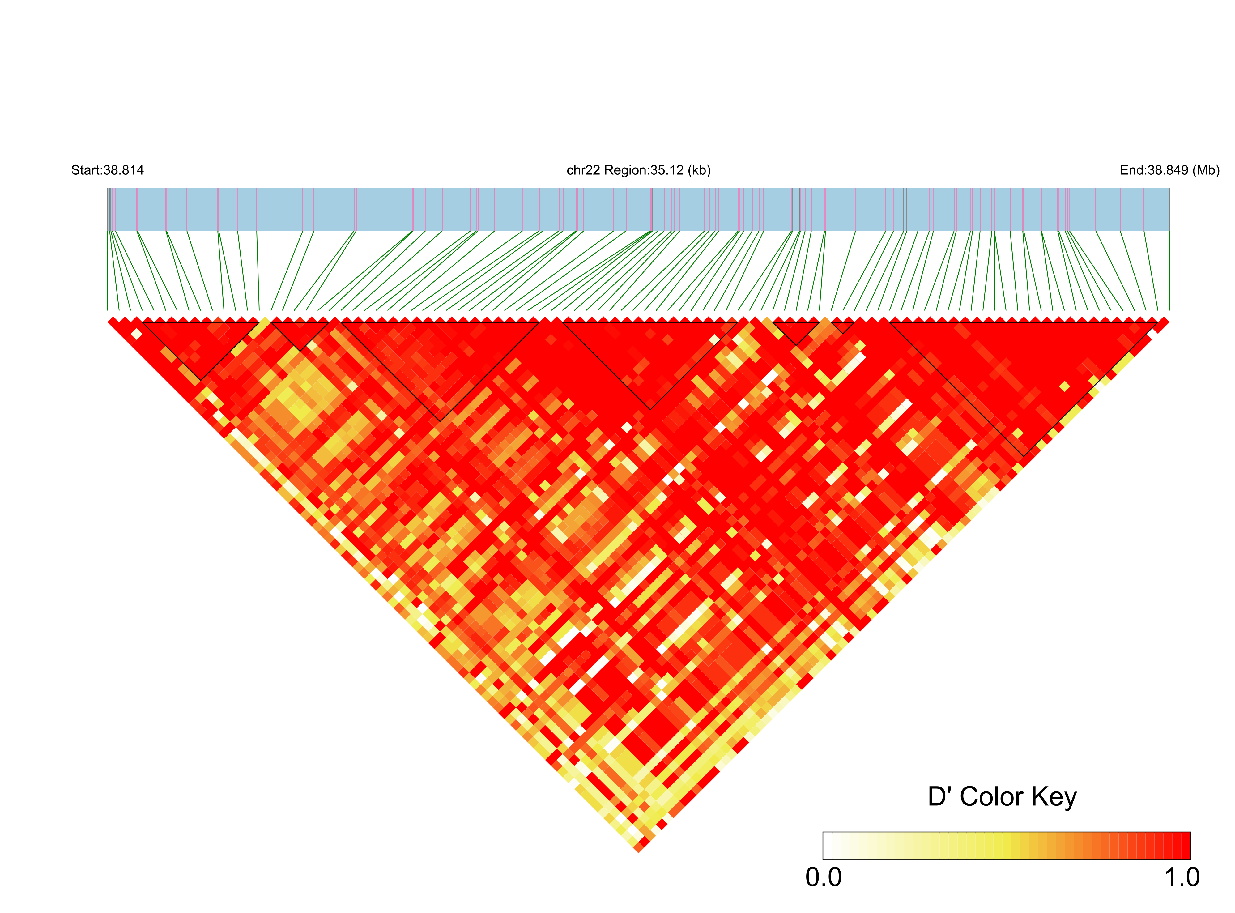 LD