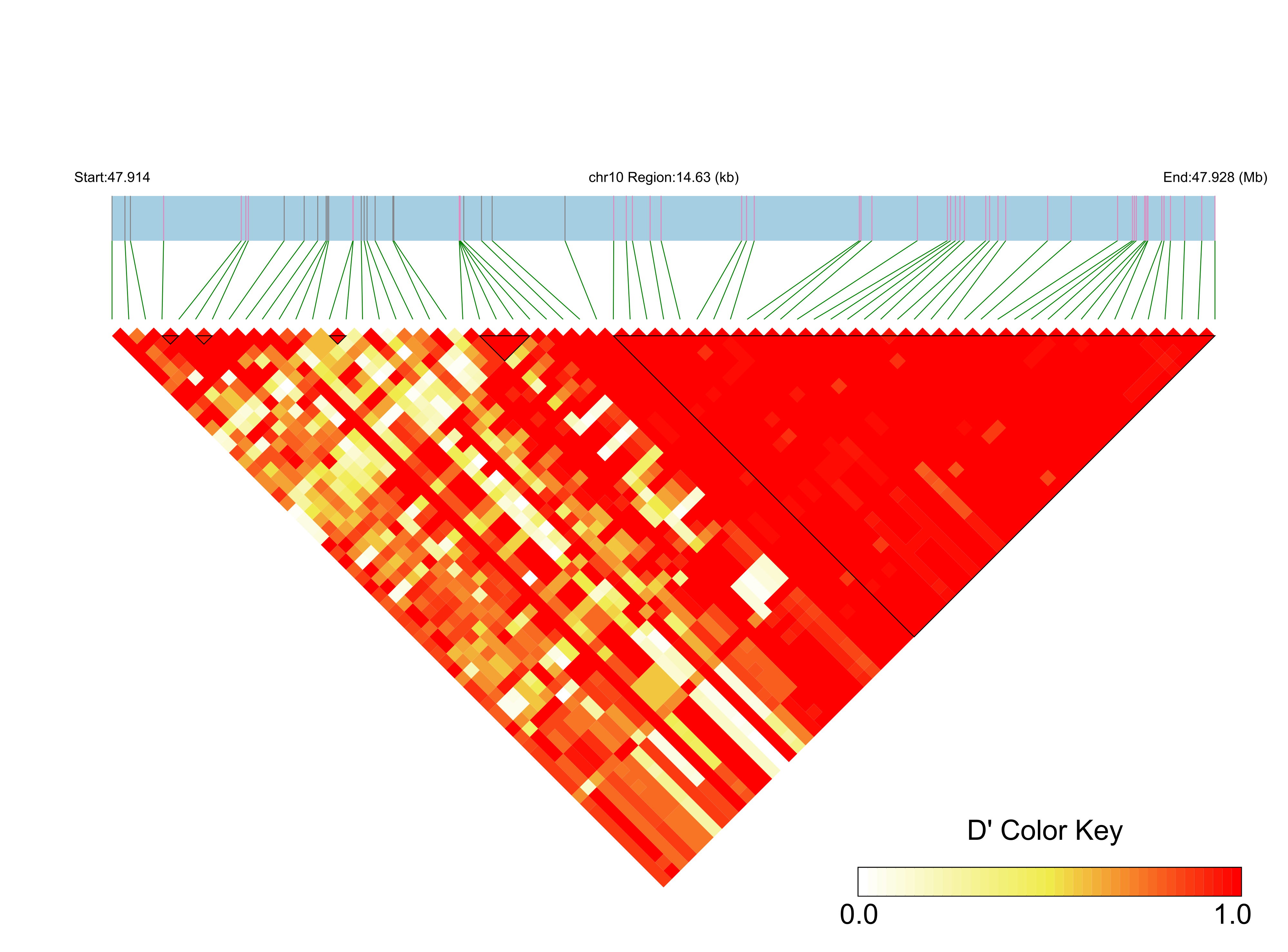 LD