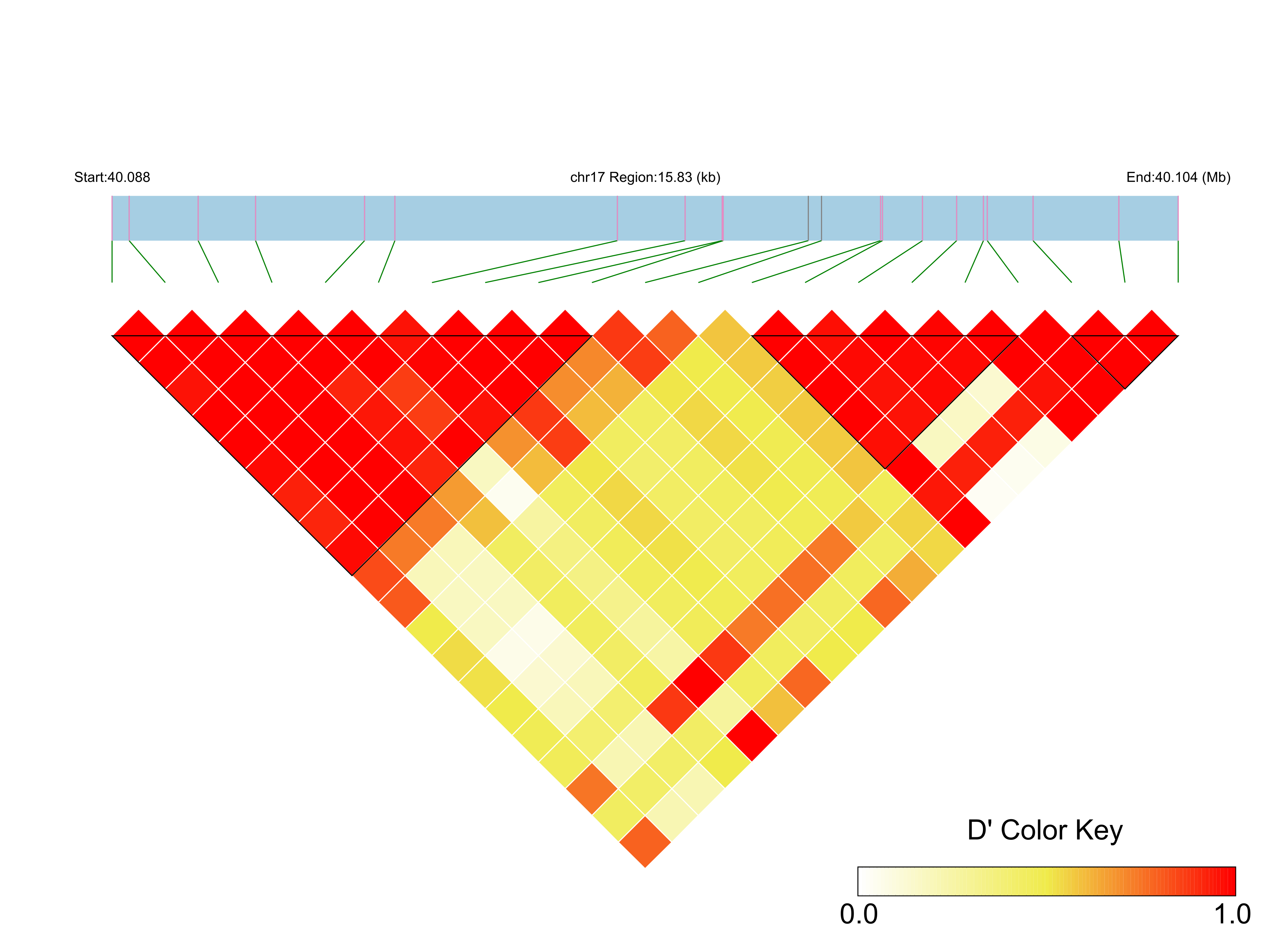 LD