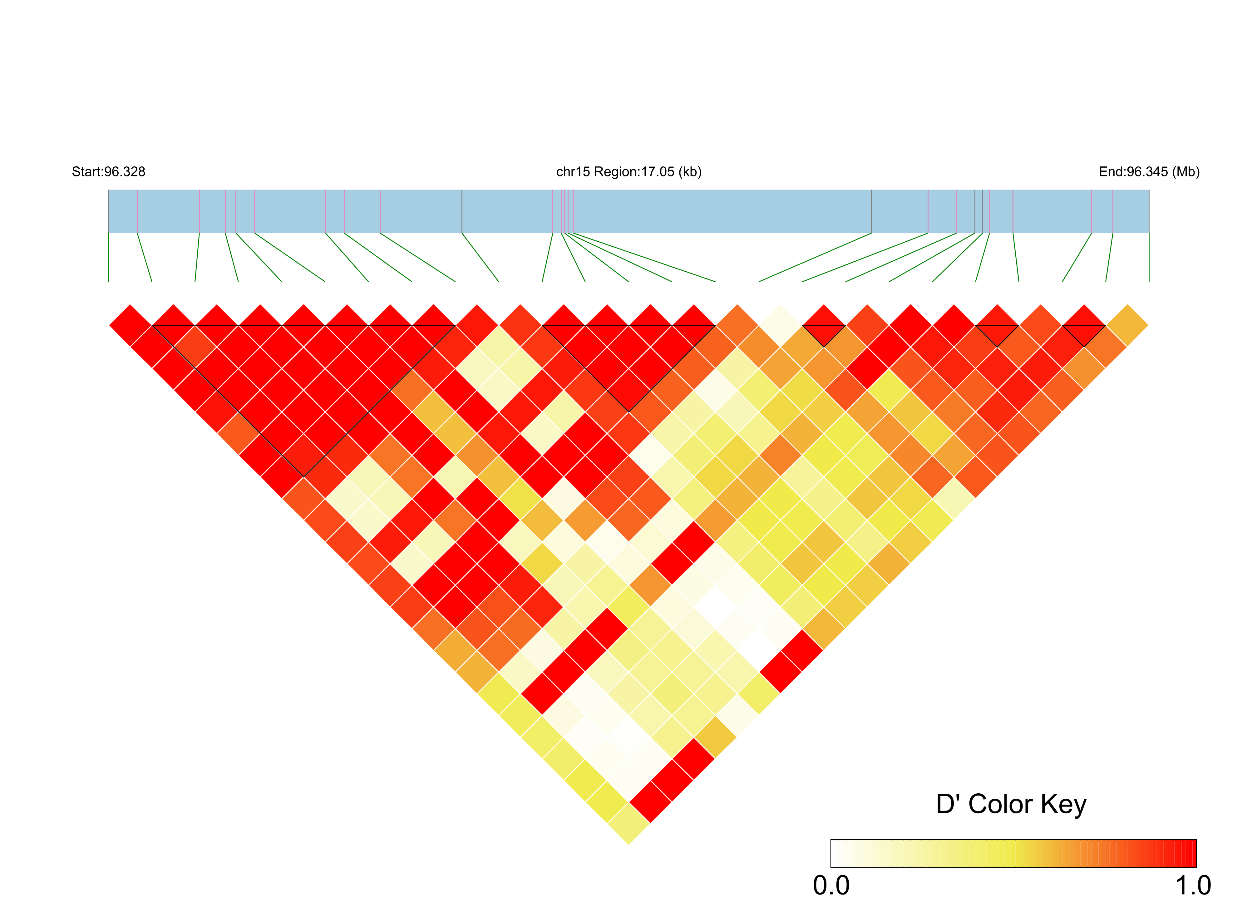 LD