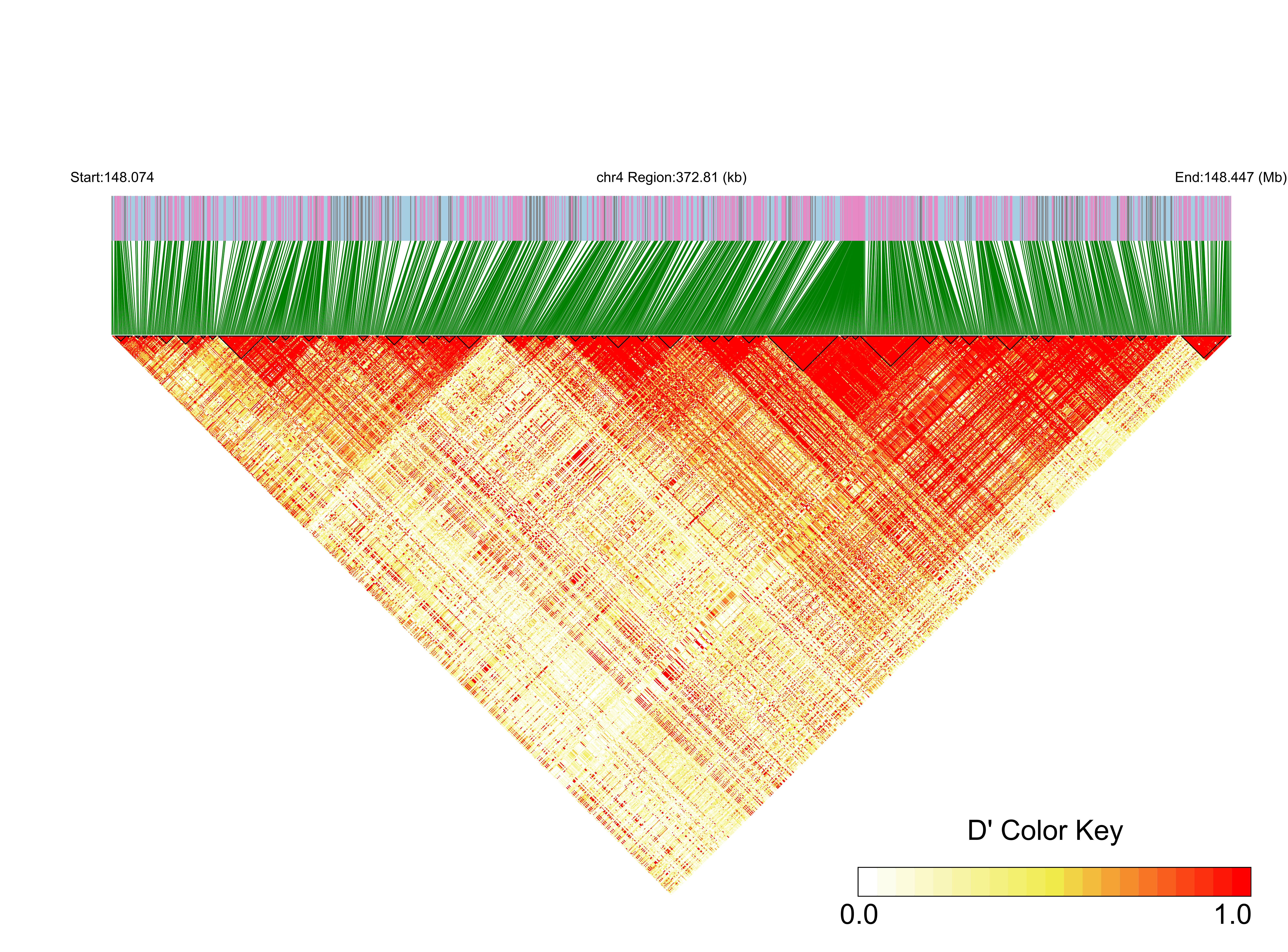 LD