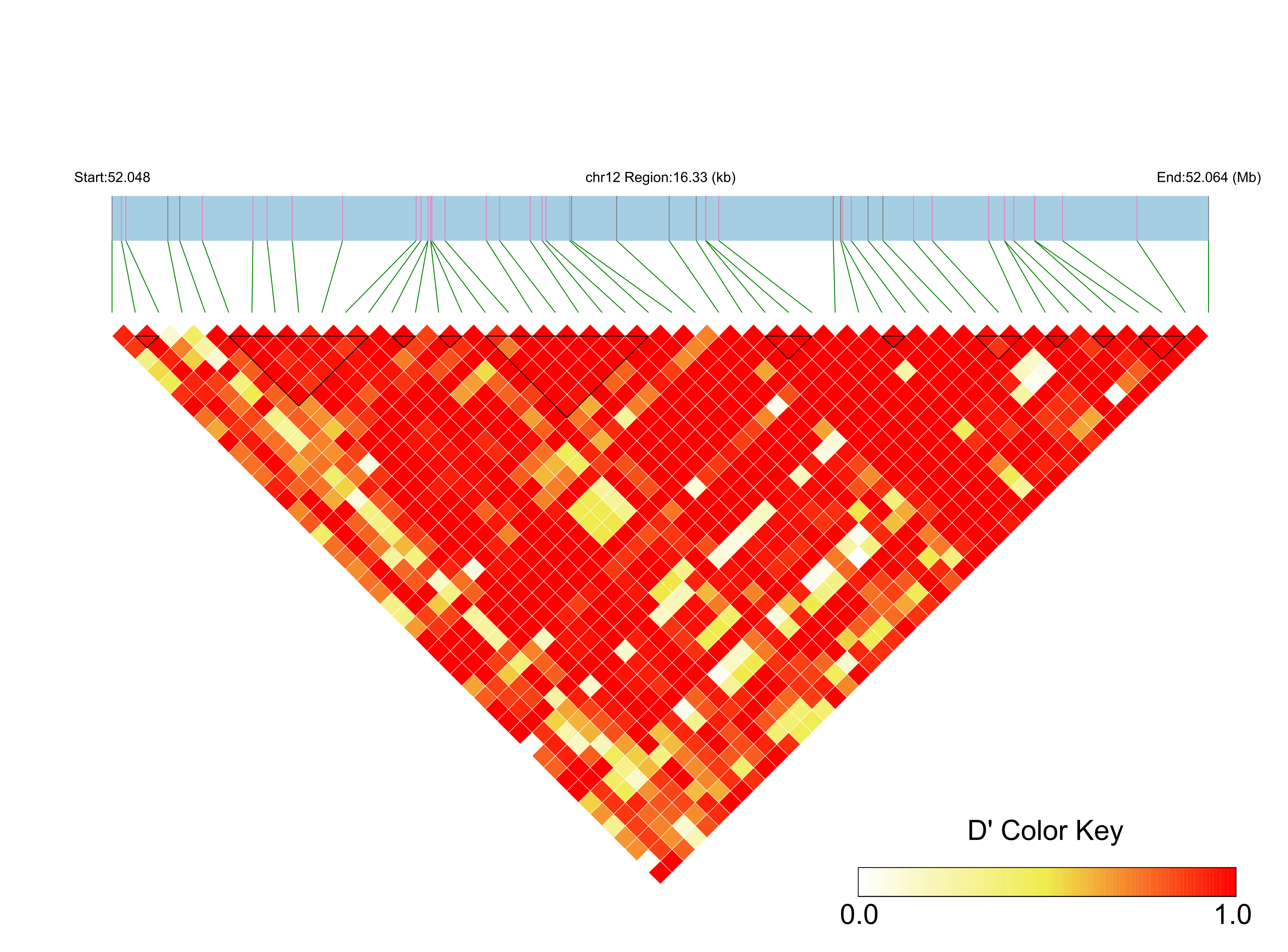 LD