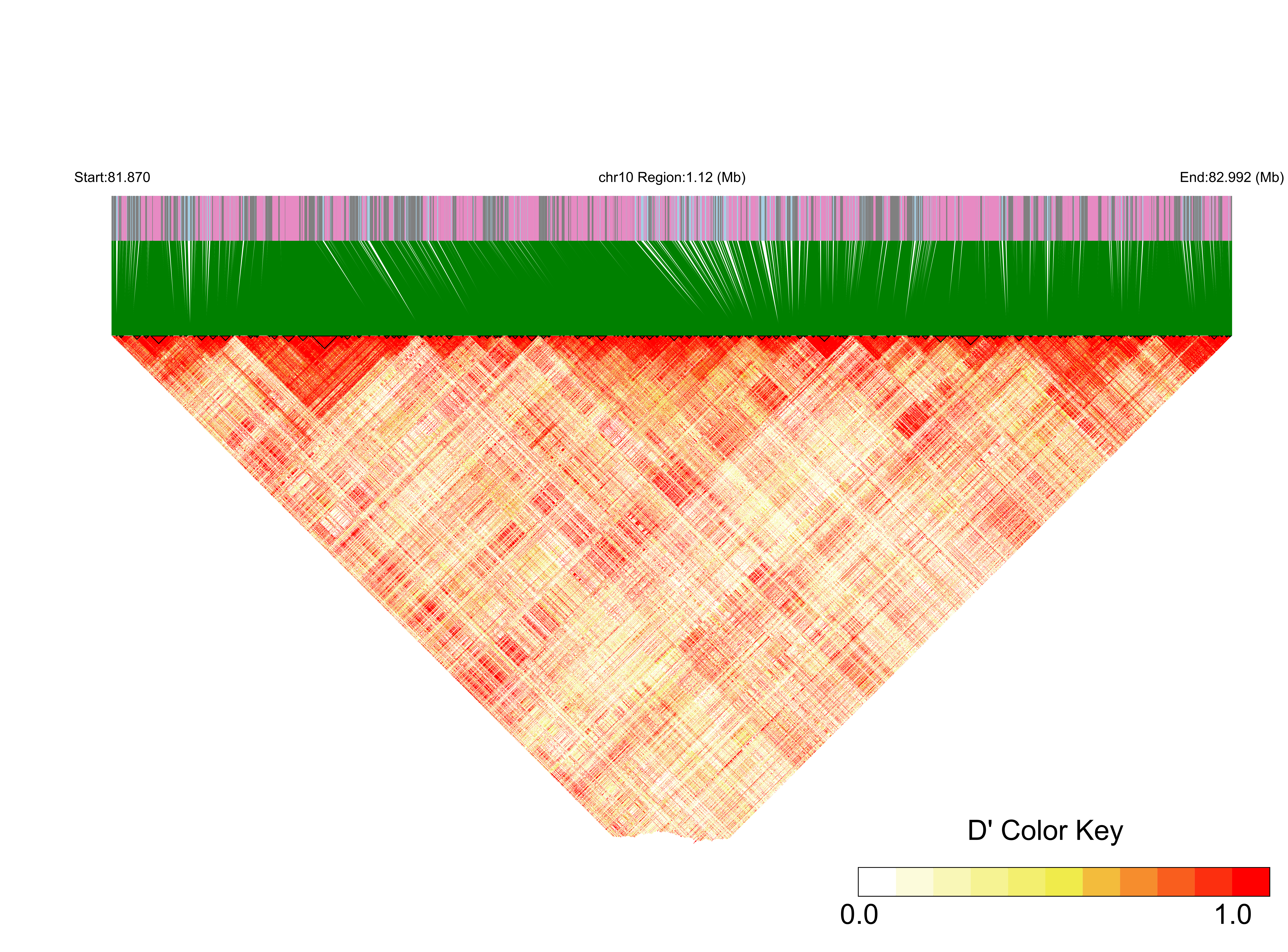 LD