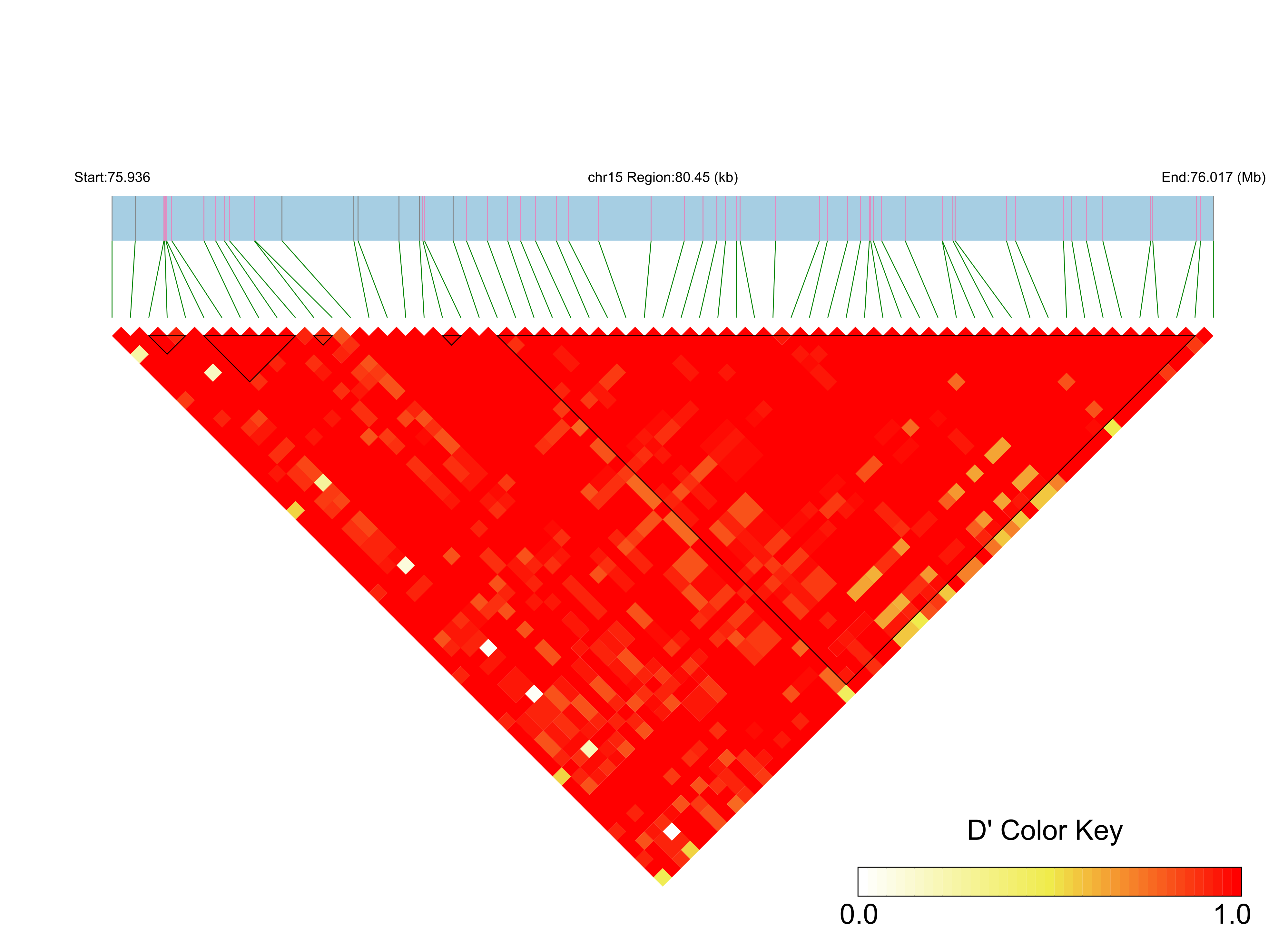 LD
