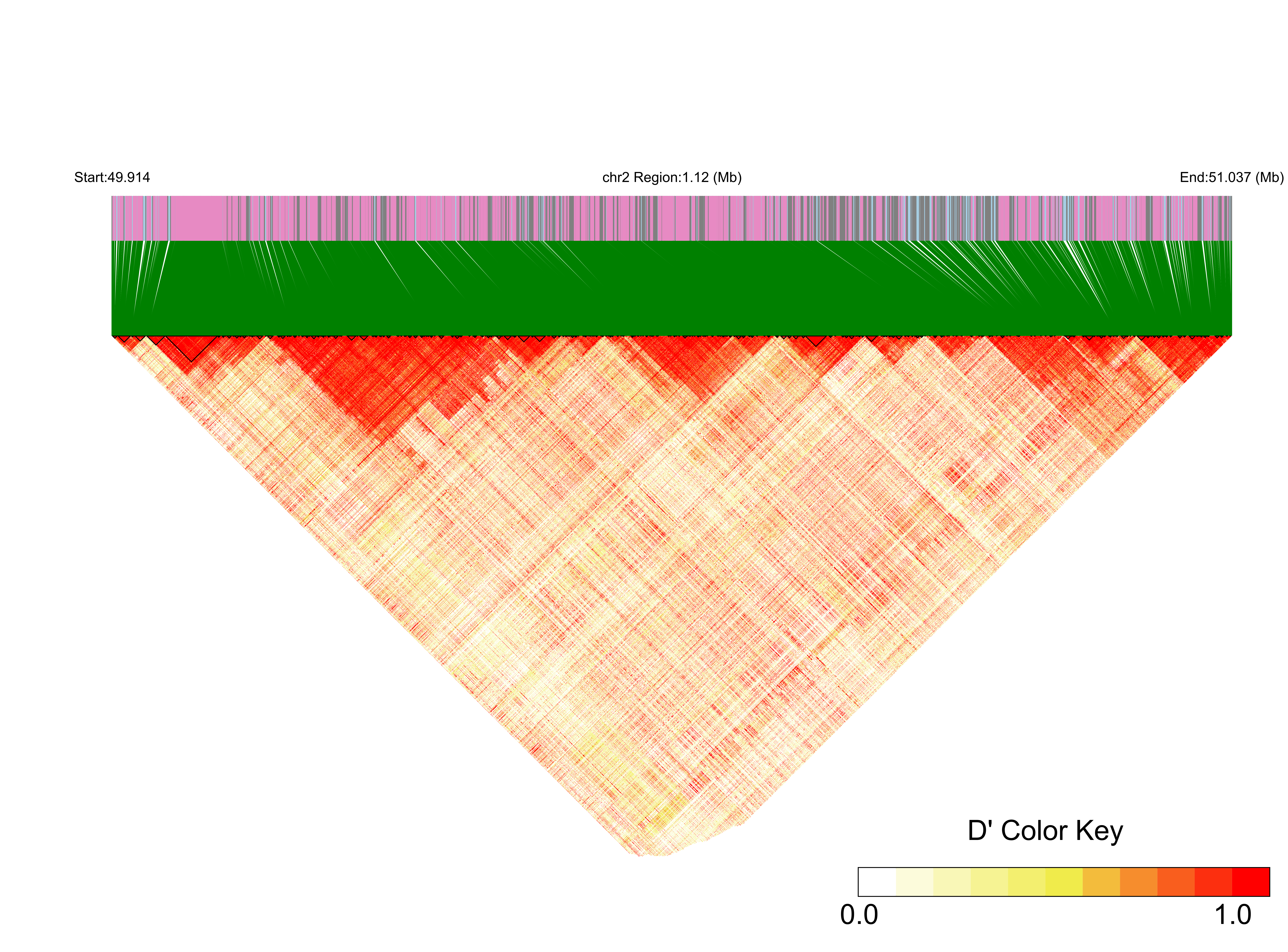 LD