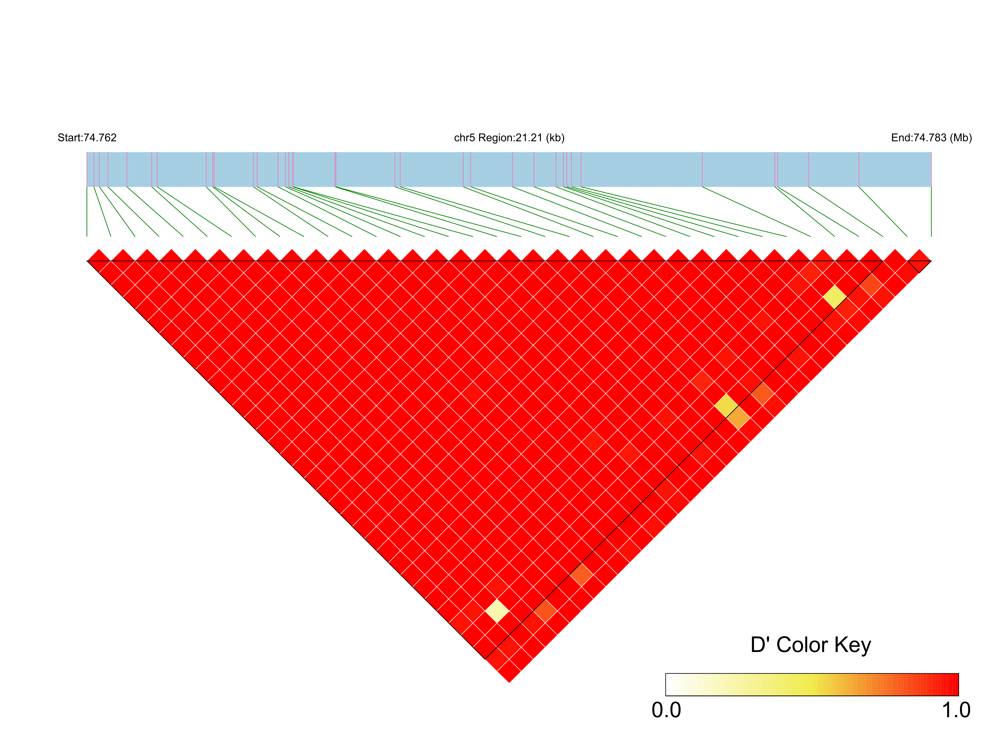 LD