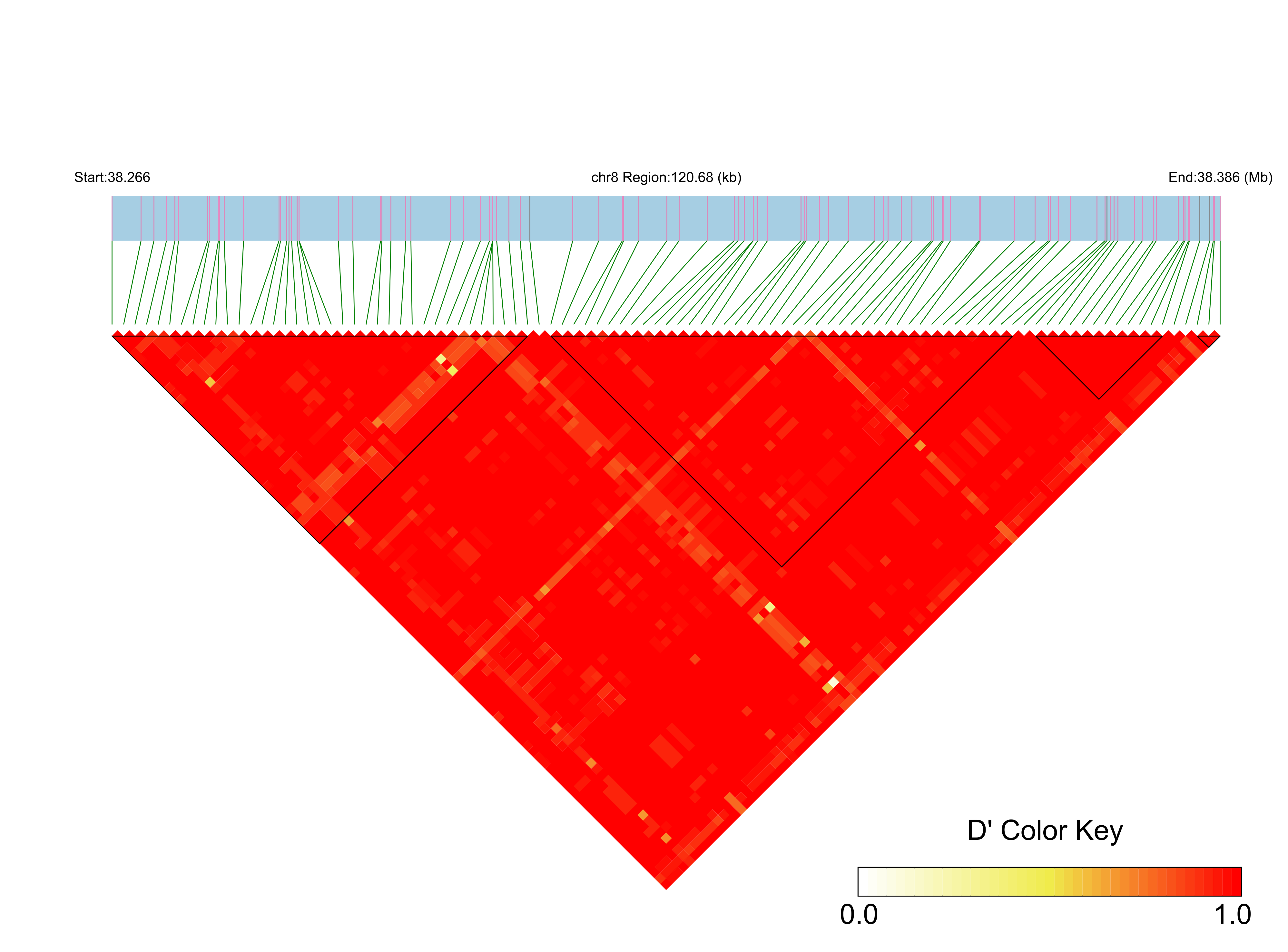 LD