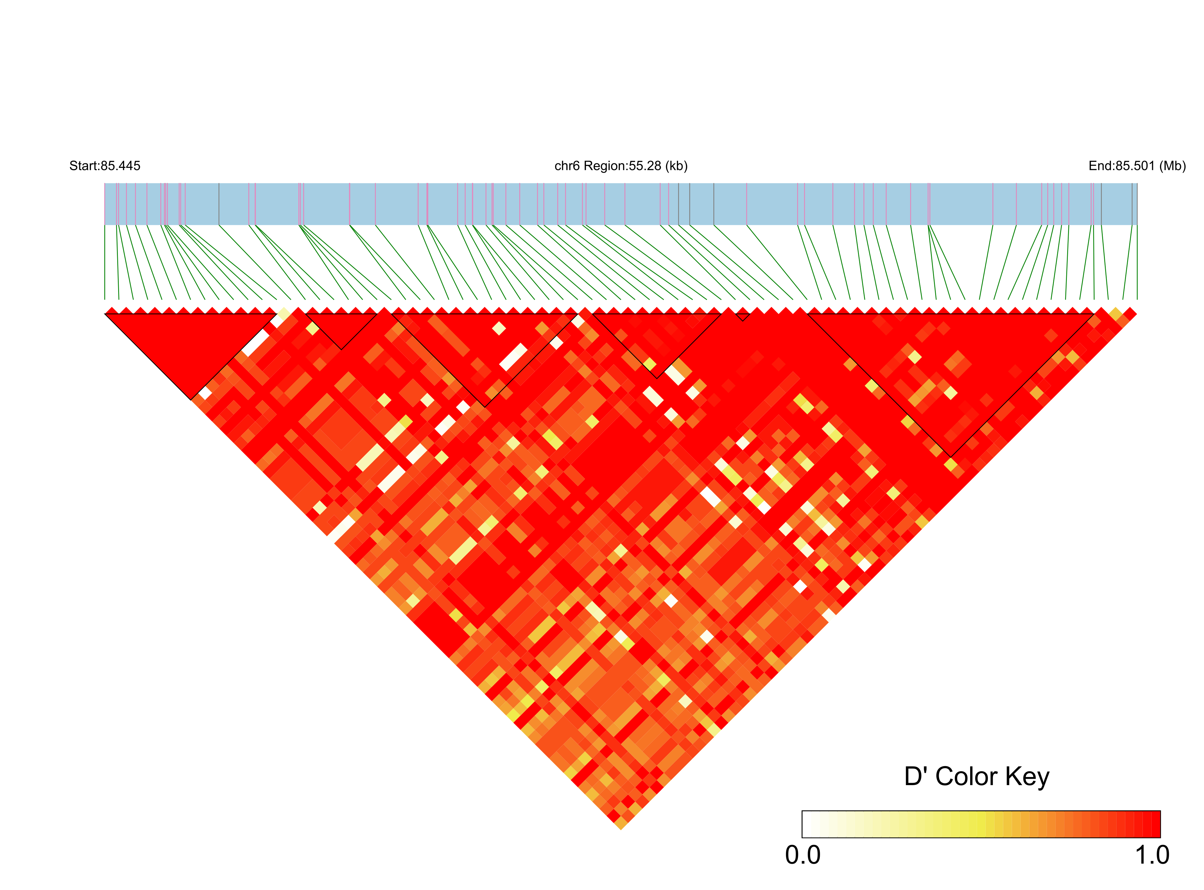 LD