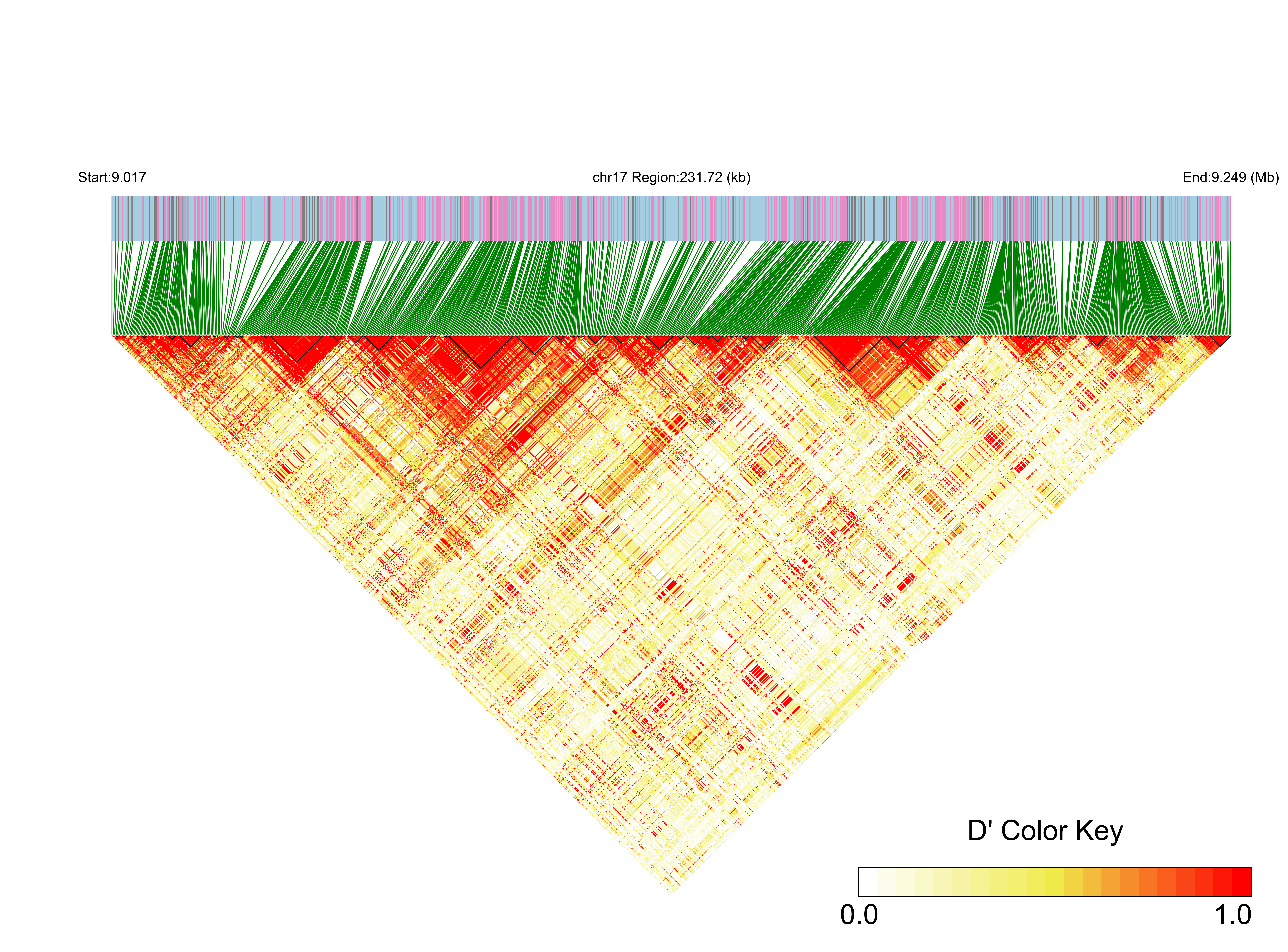 LD