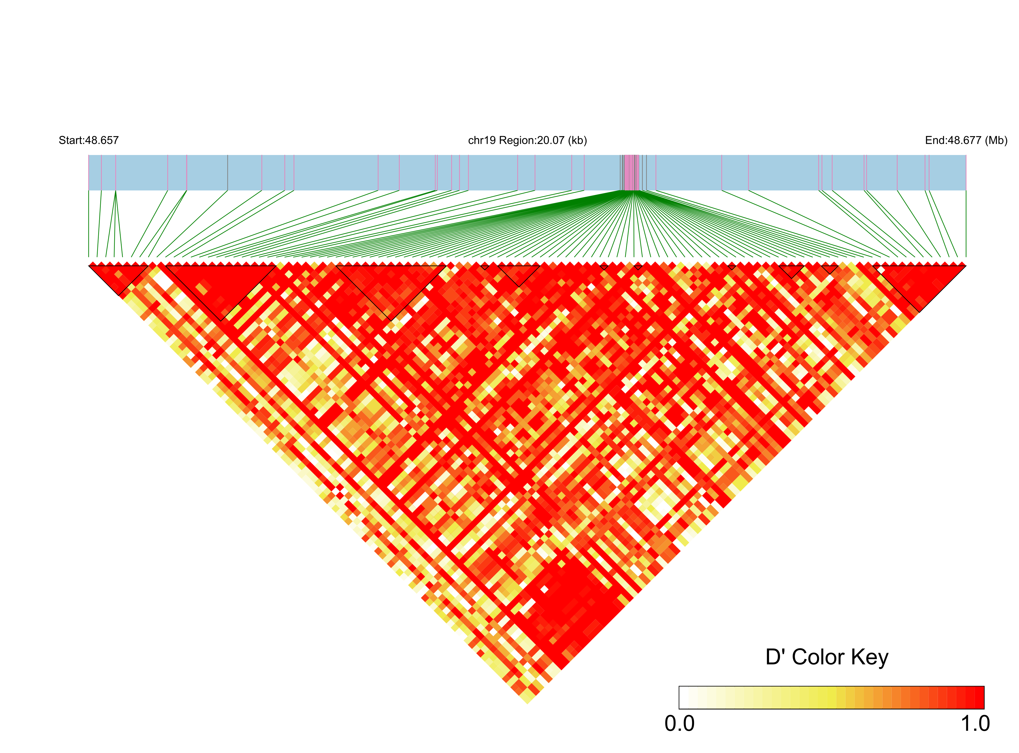 LD