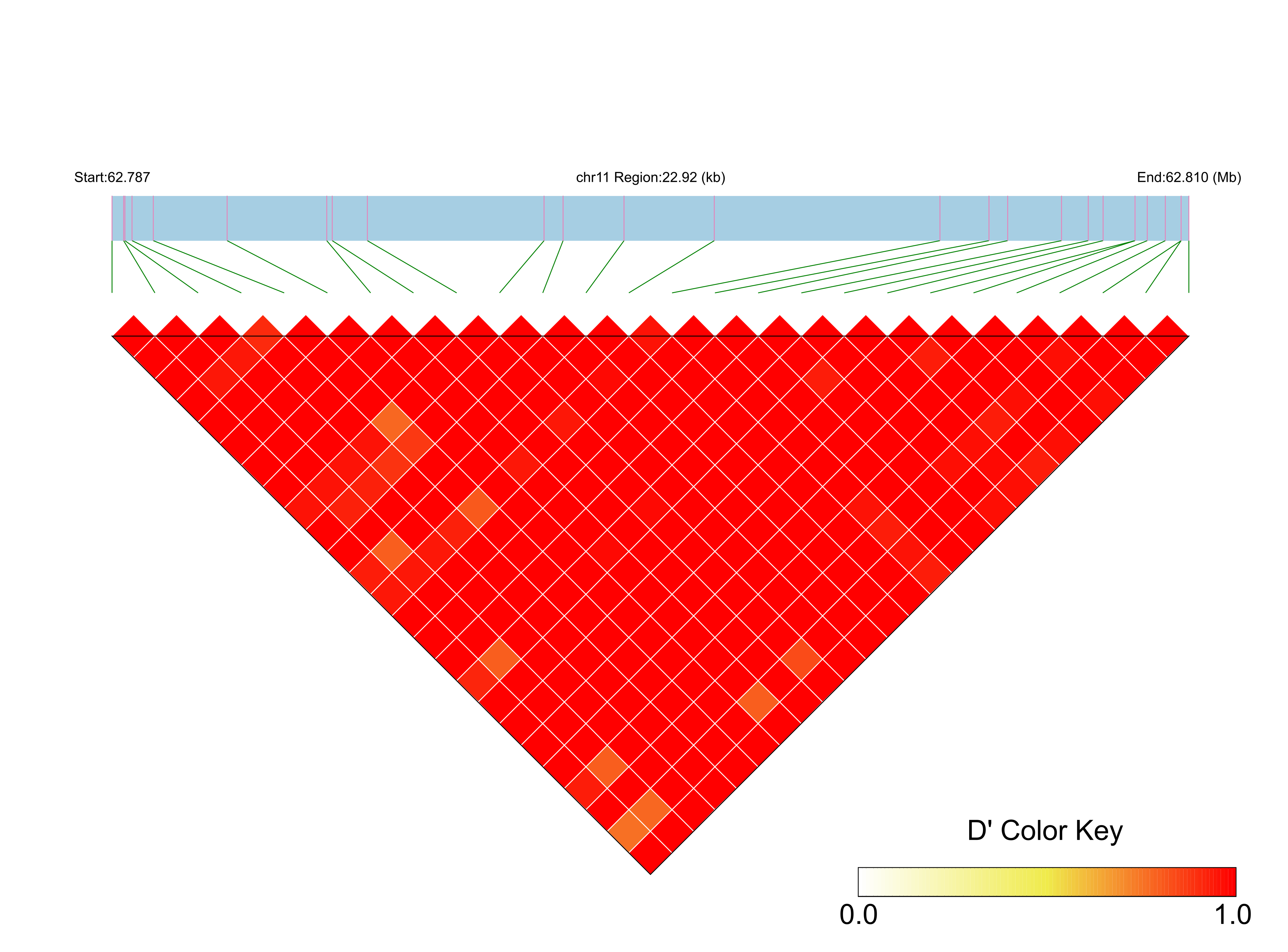 LD