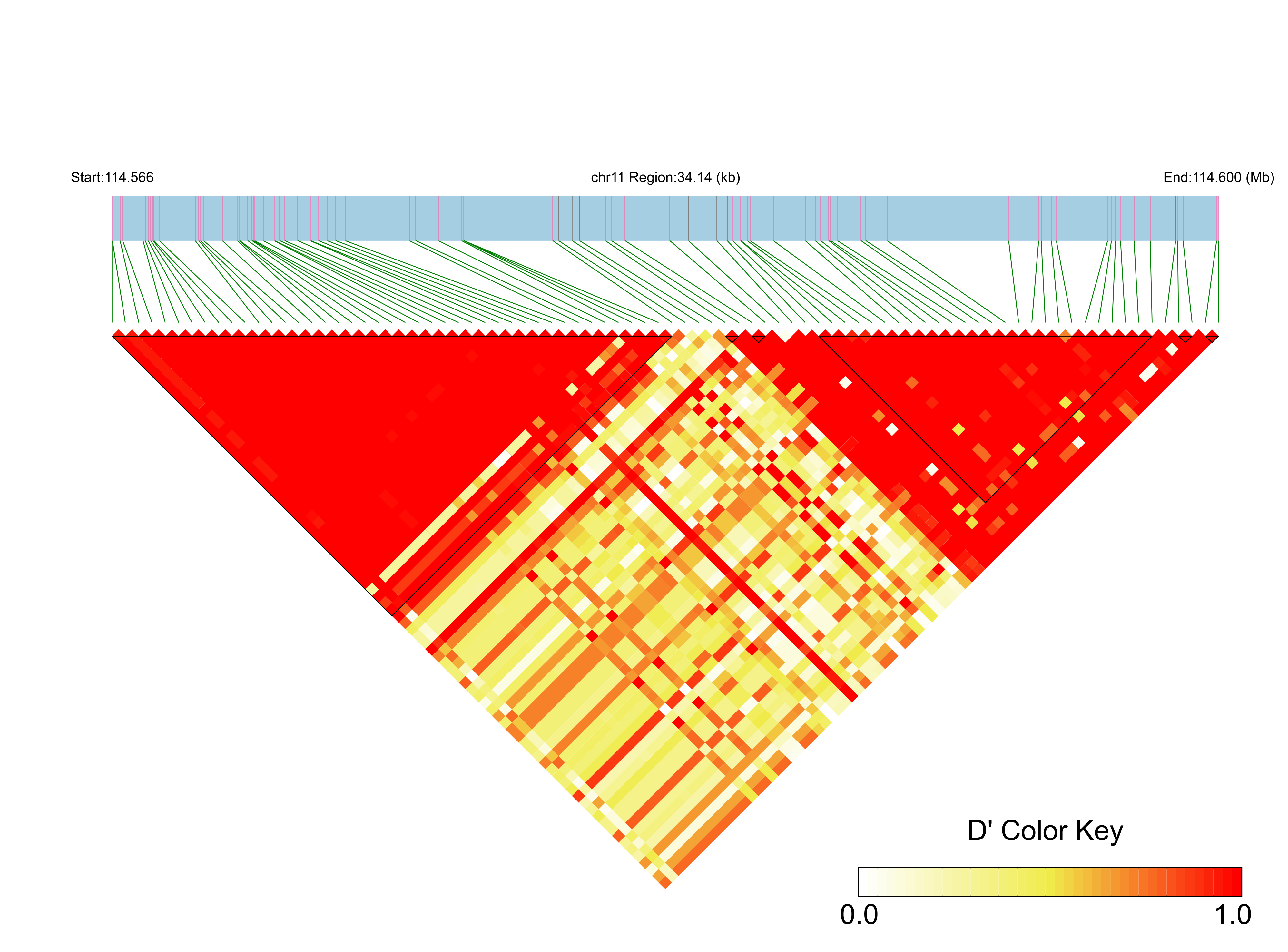 LD