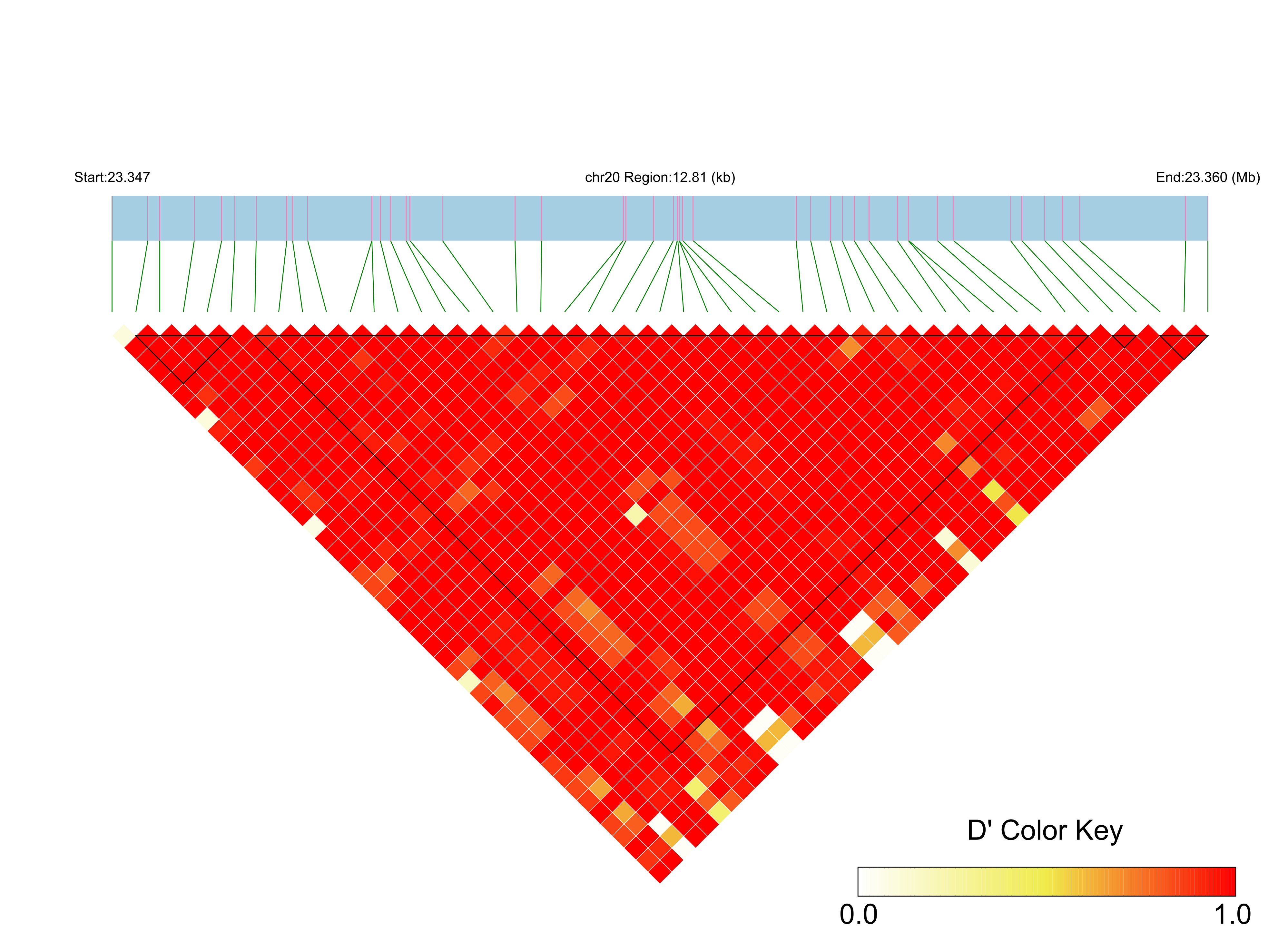 LD