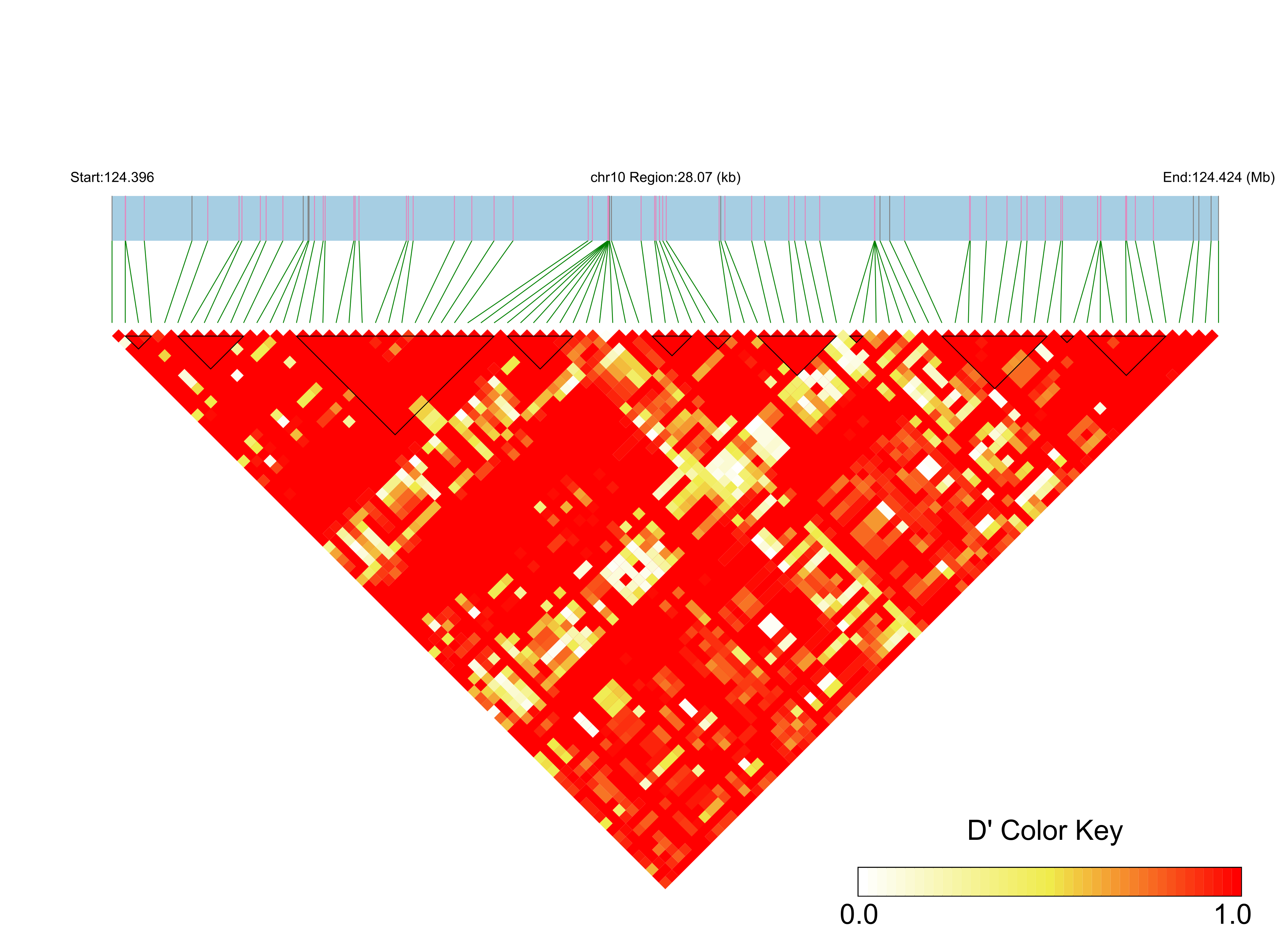 LD