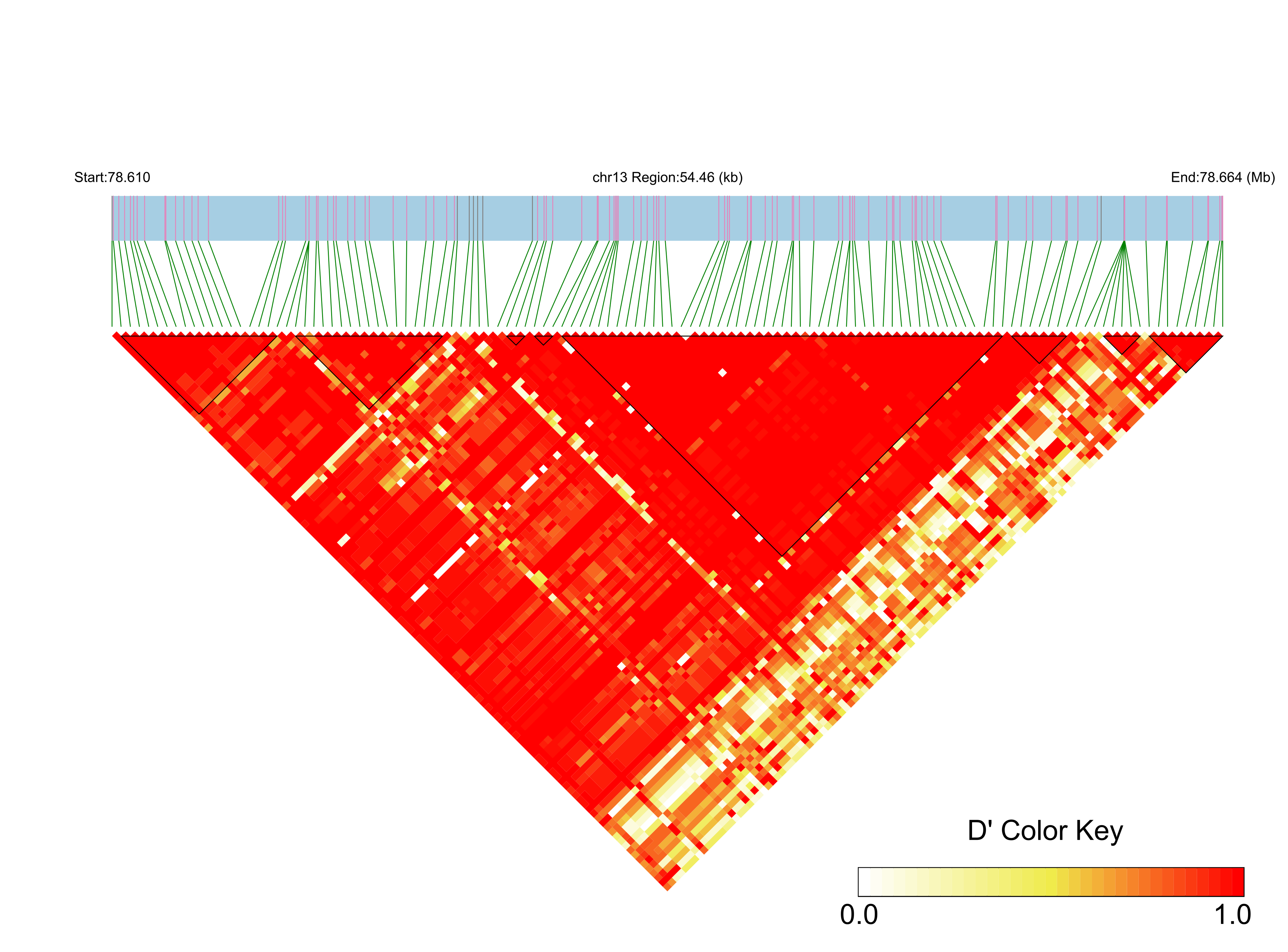 LD