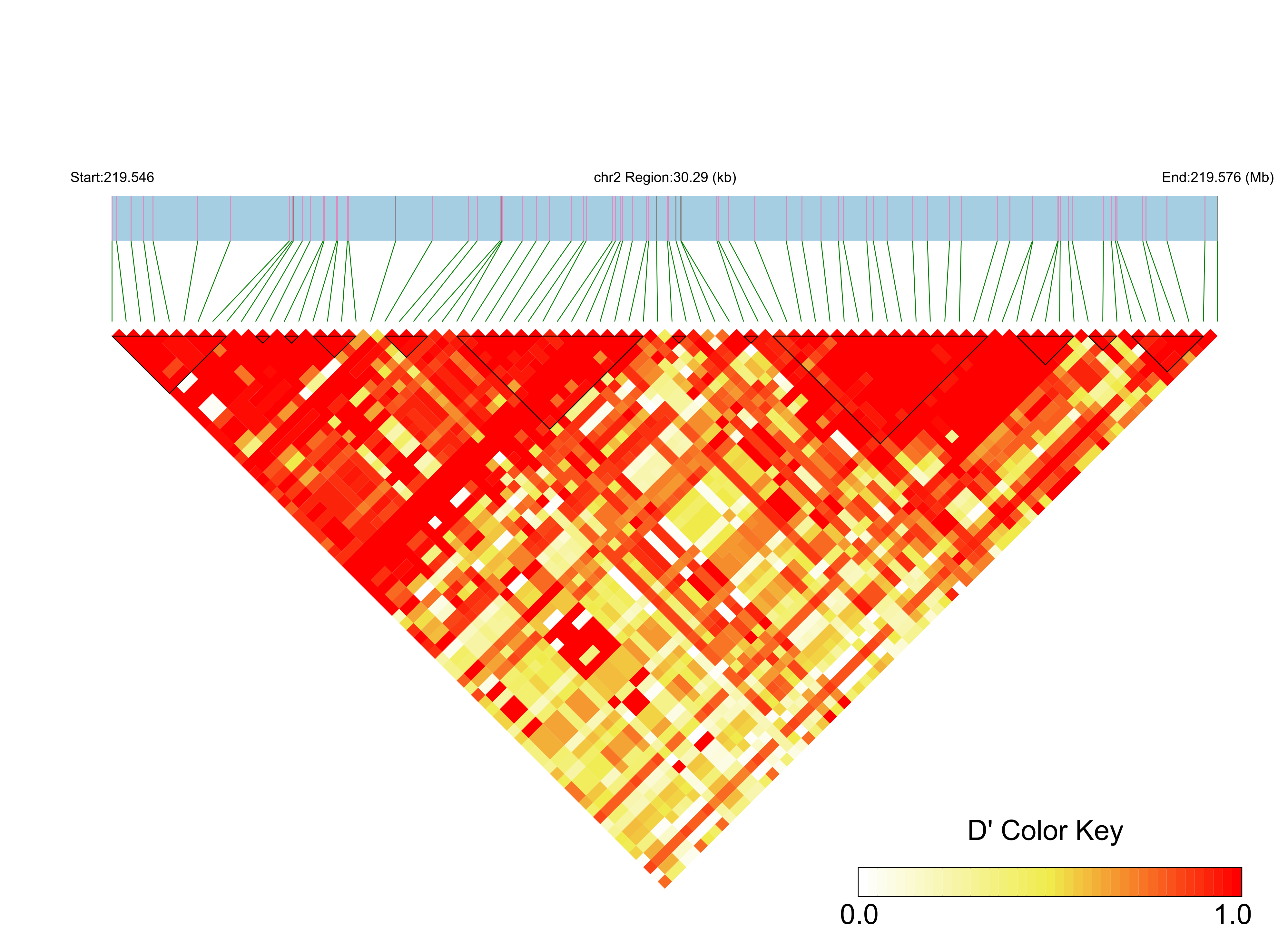 LD