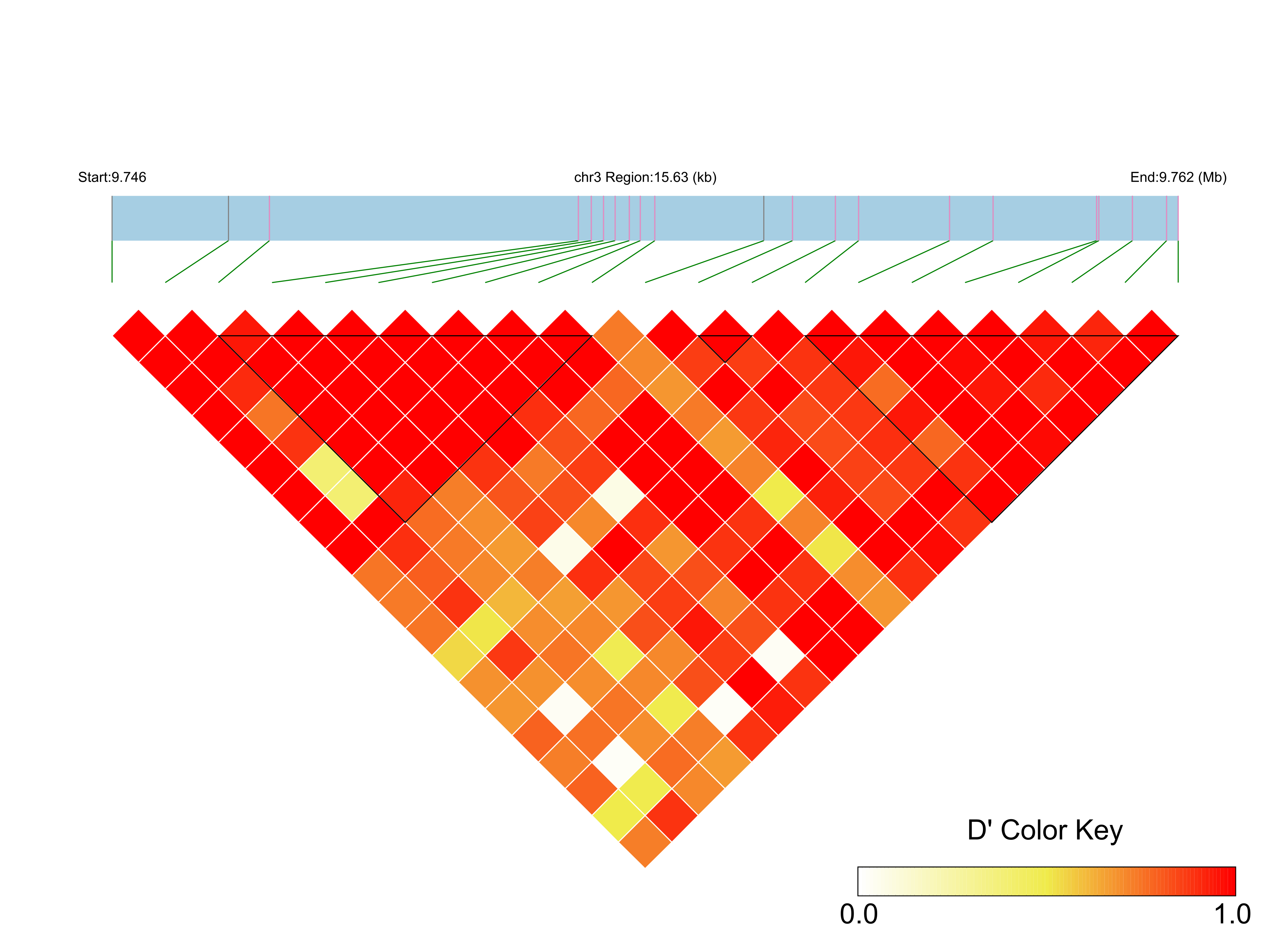 LD