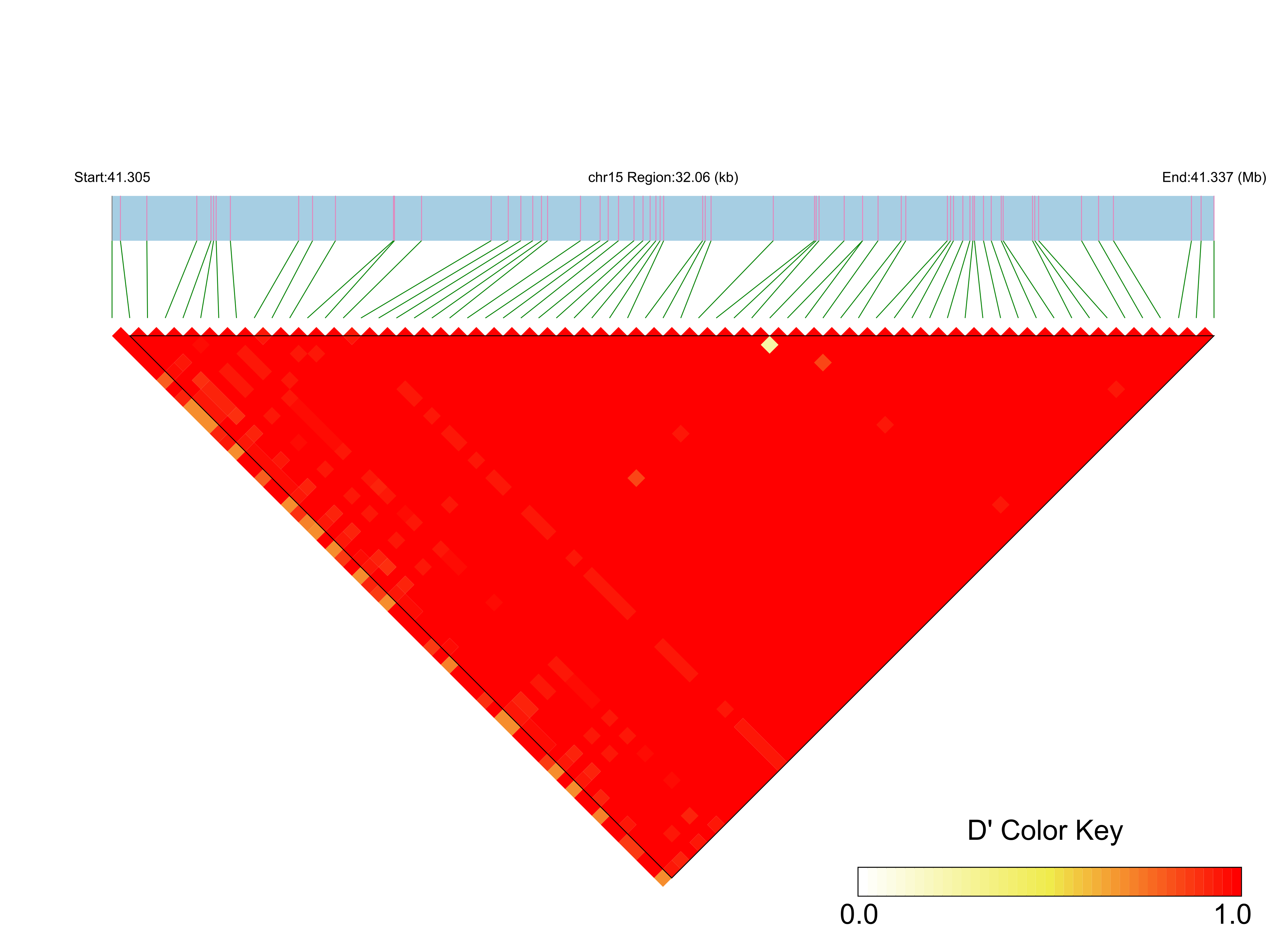 LD