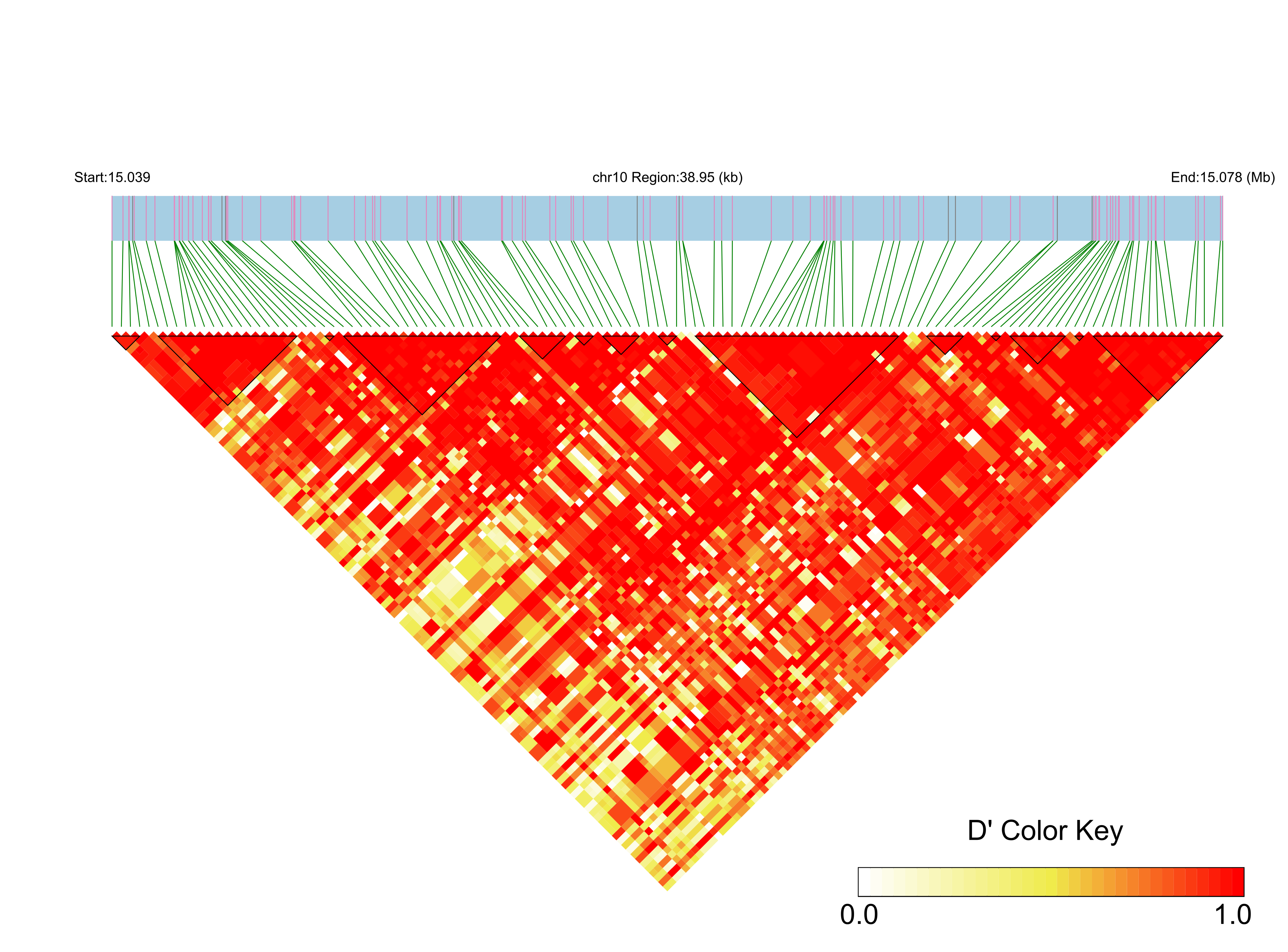 LD