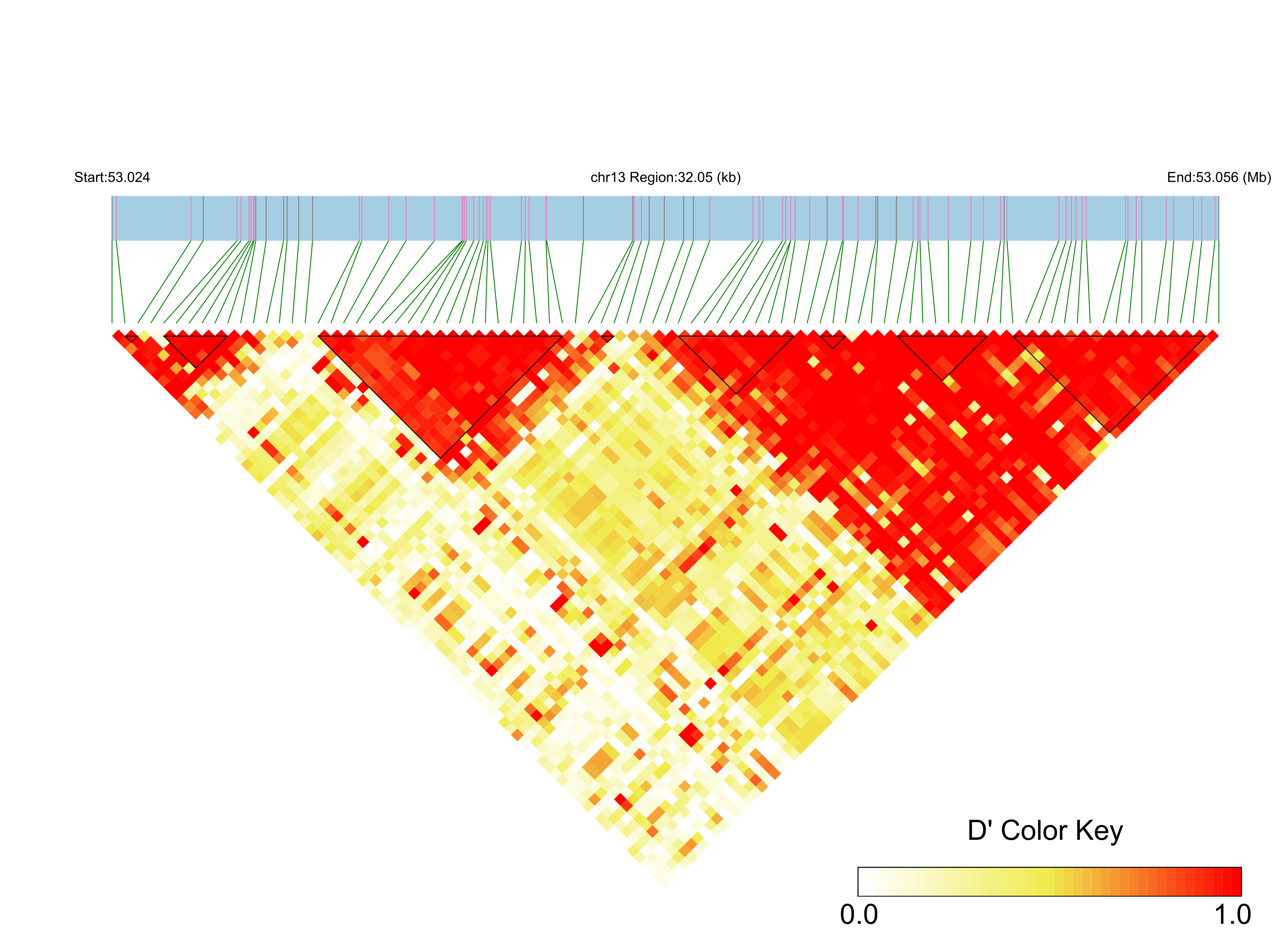 LD