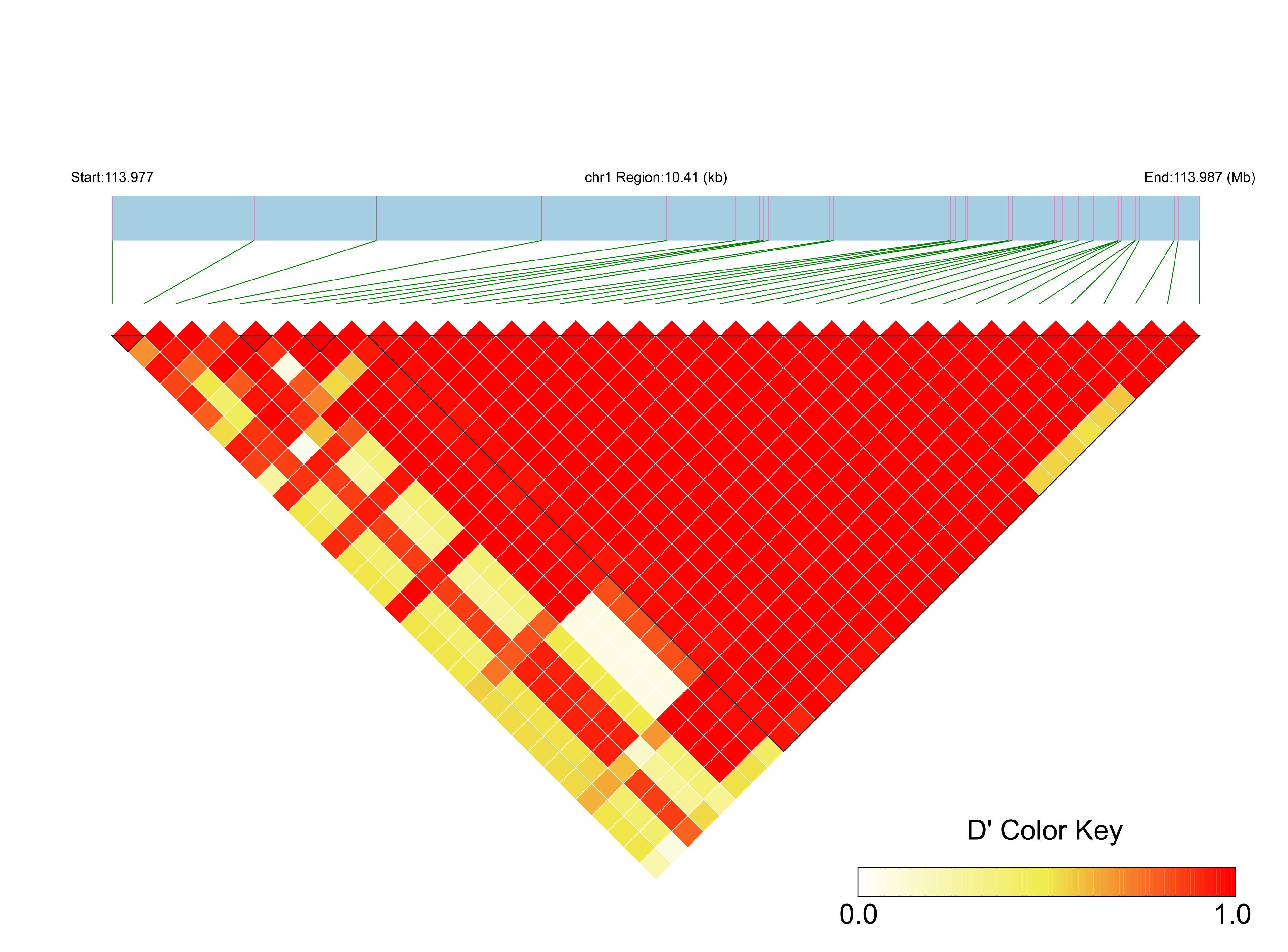 LD