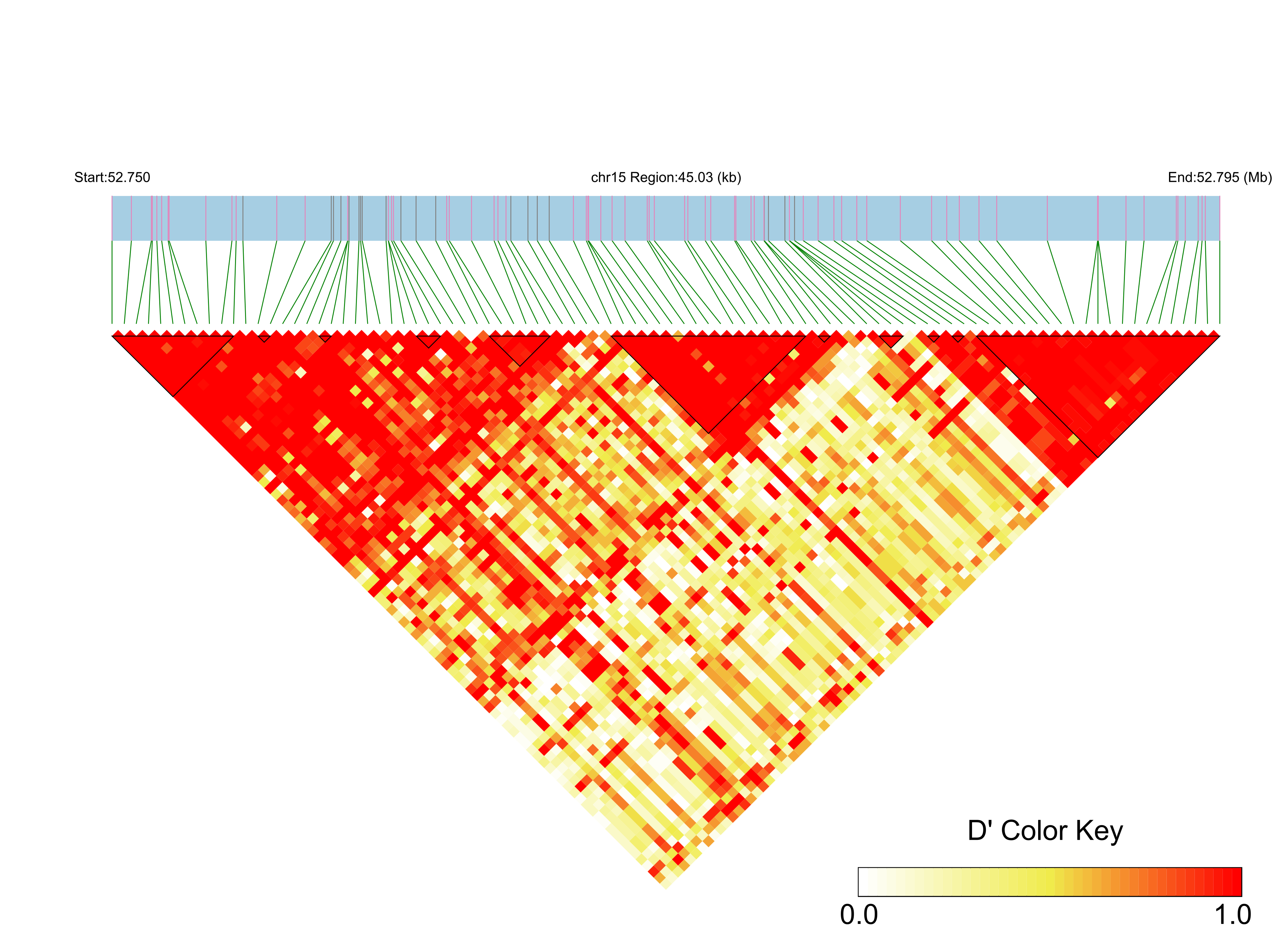 LD