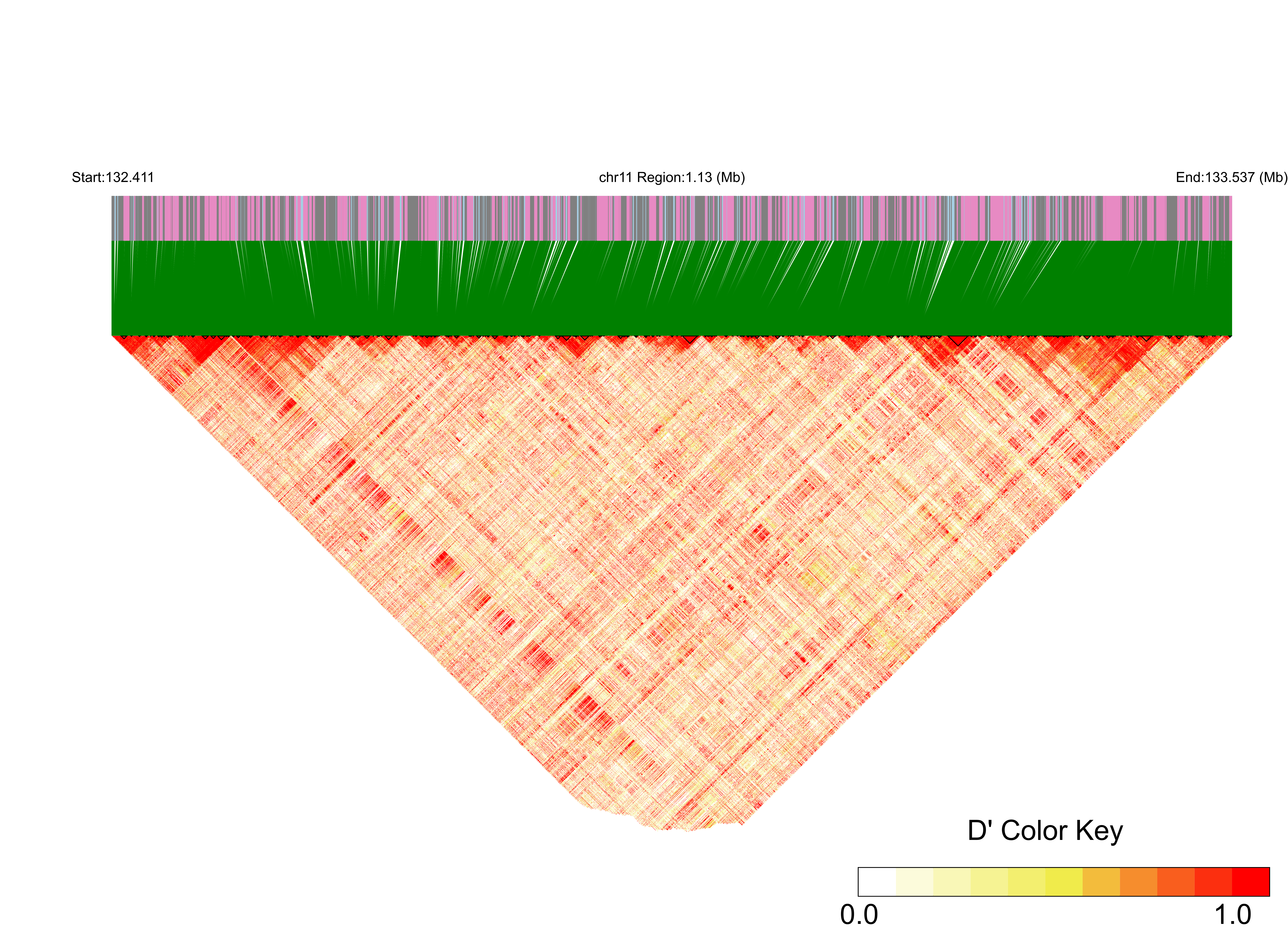 LD