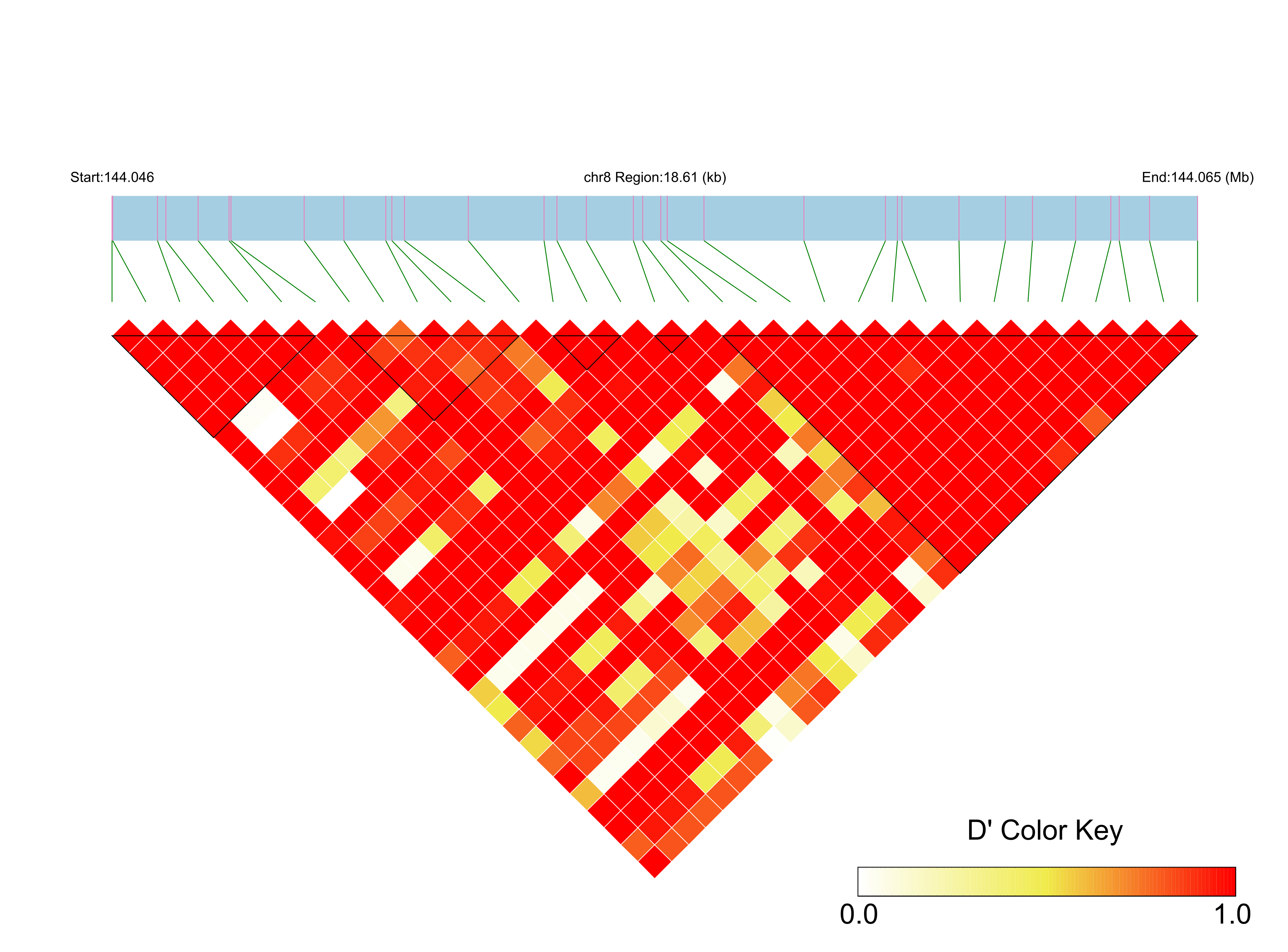LD