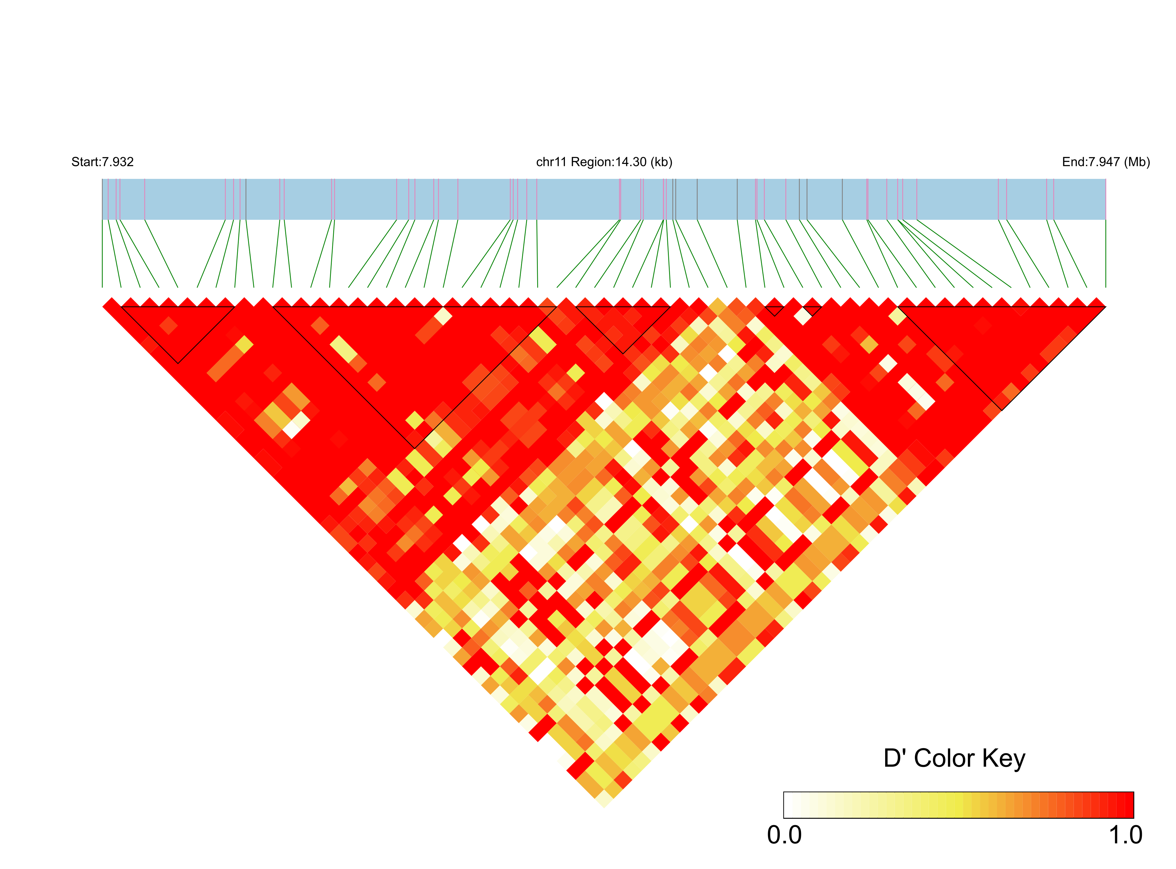 LD