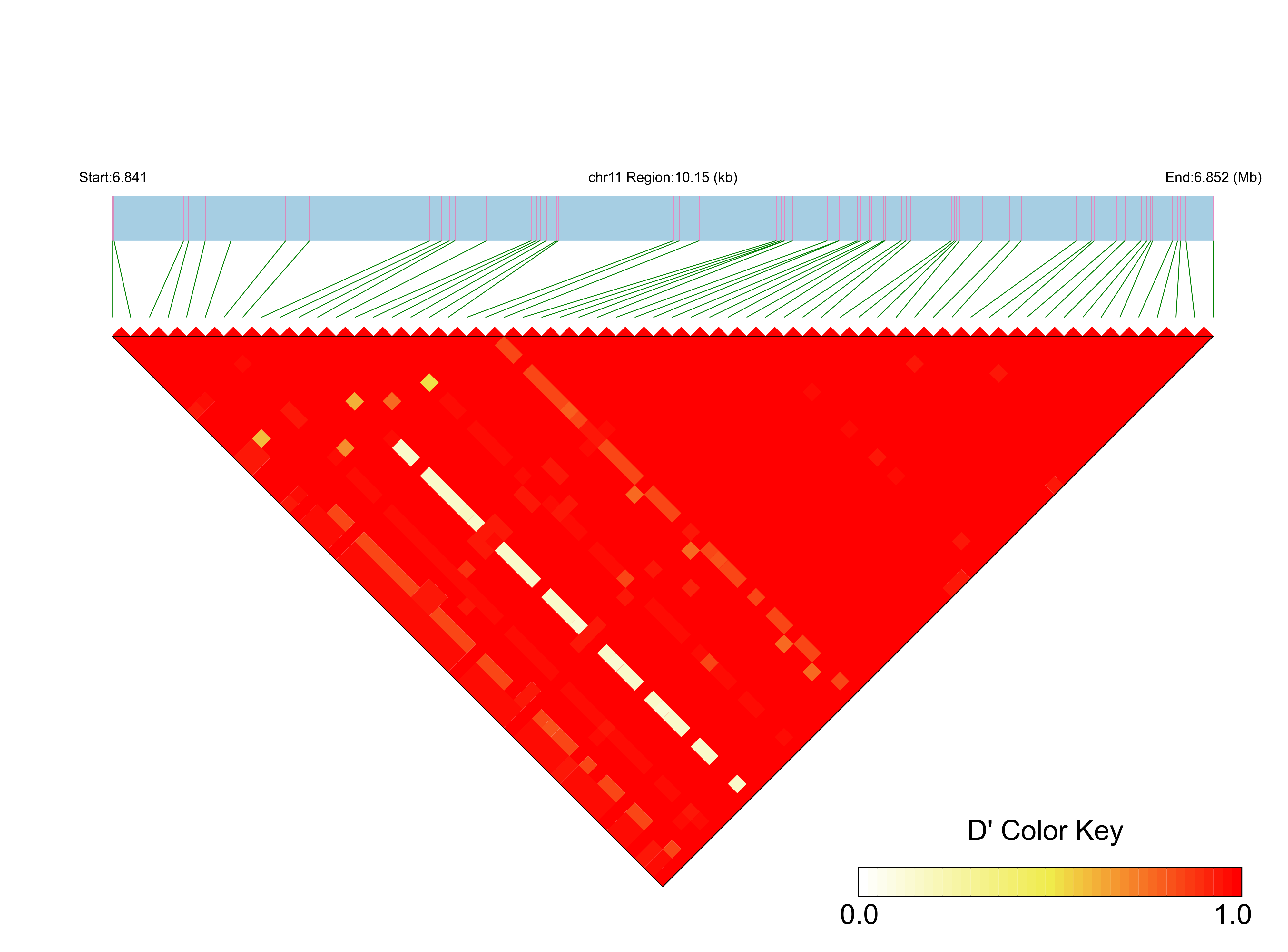LD