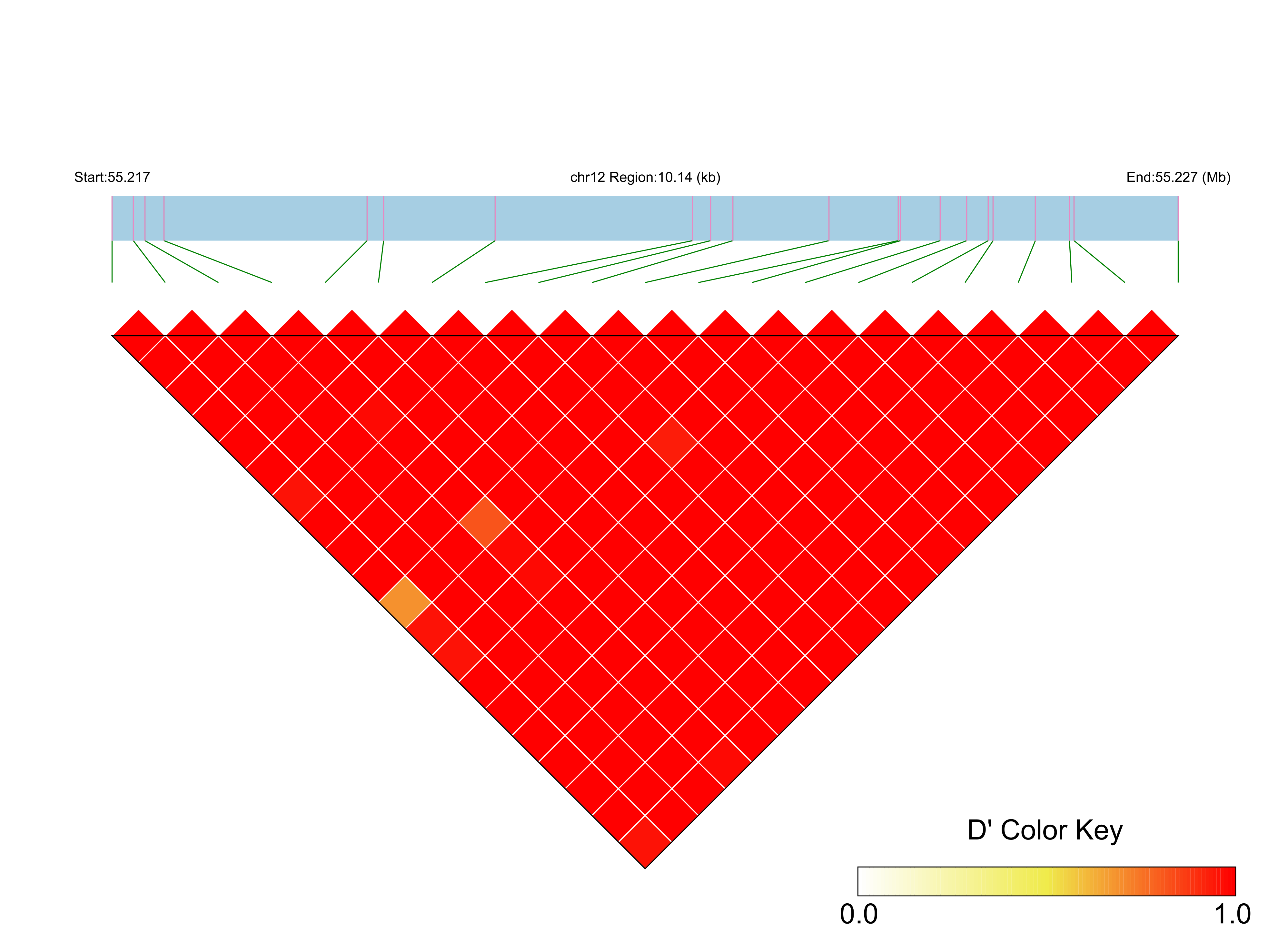 LD