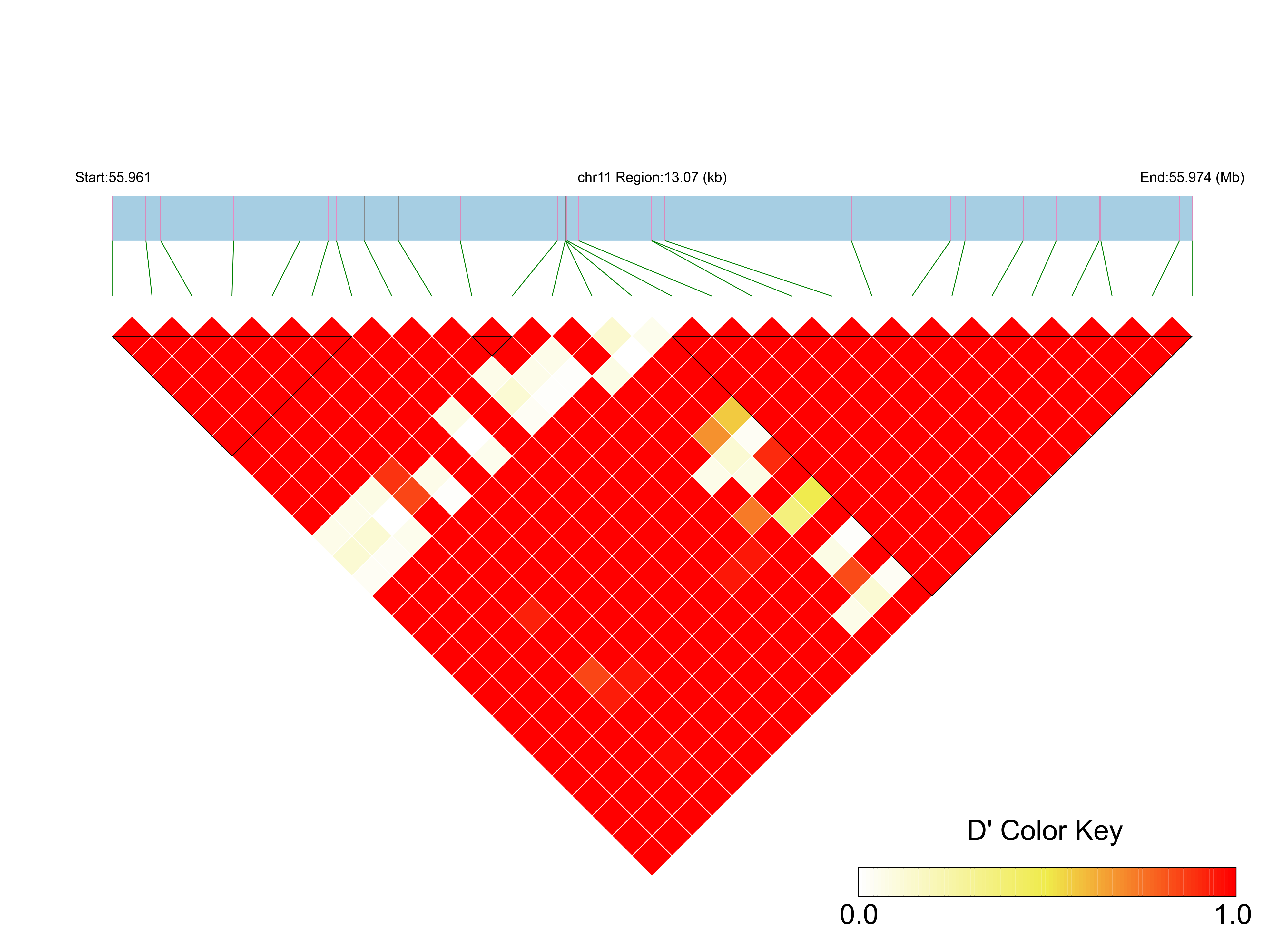 LD