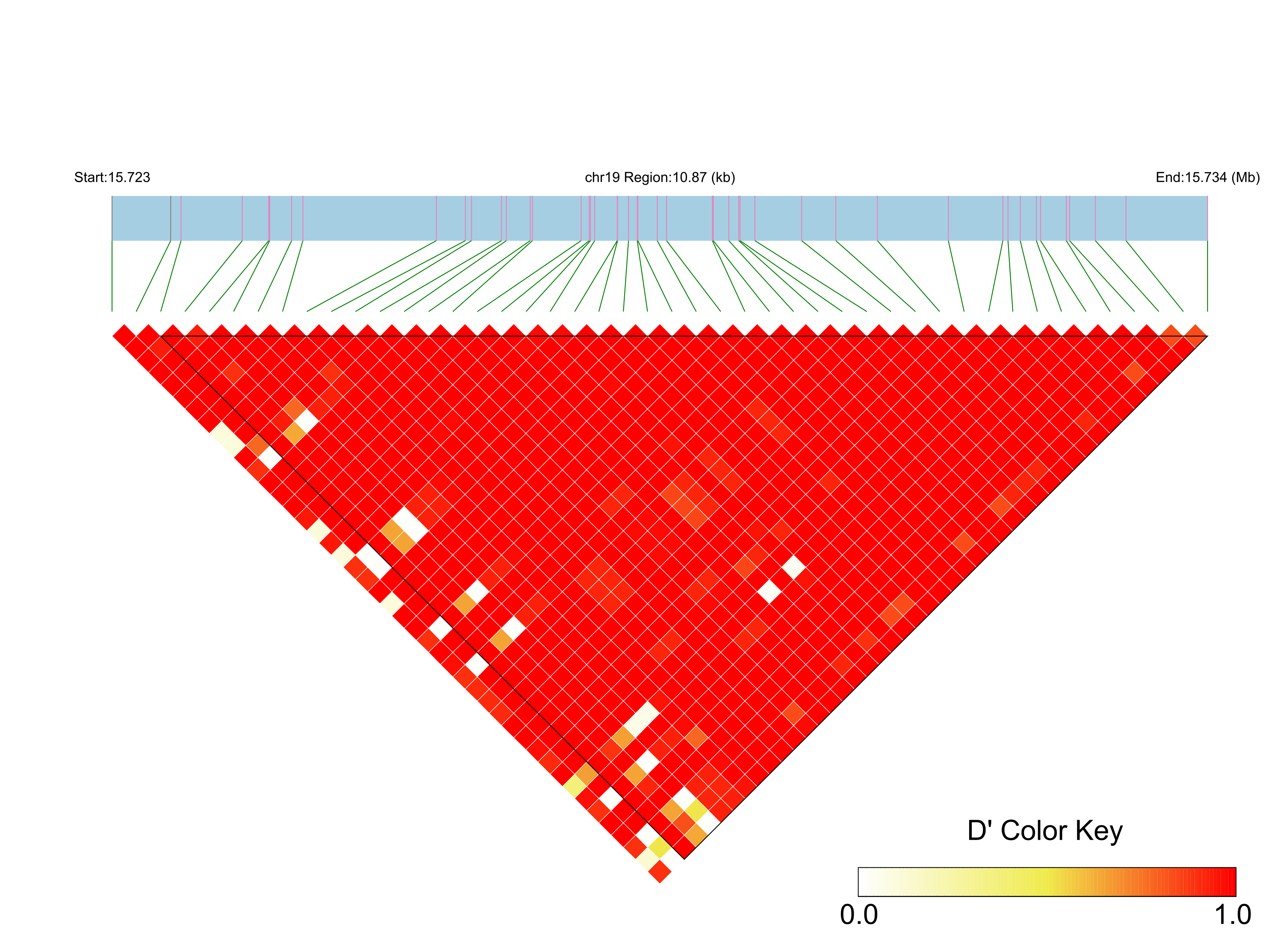 LD
