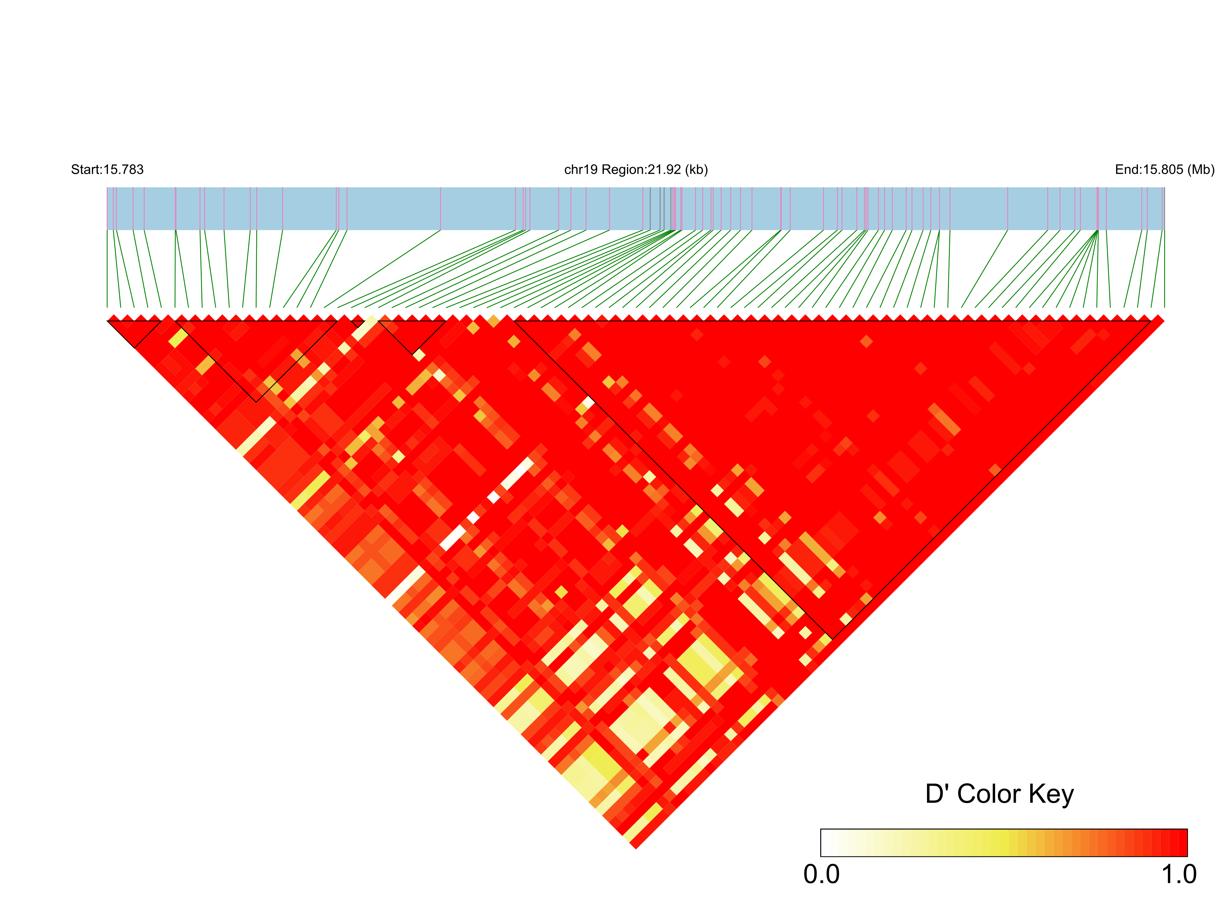 LD