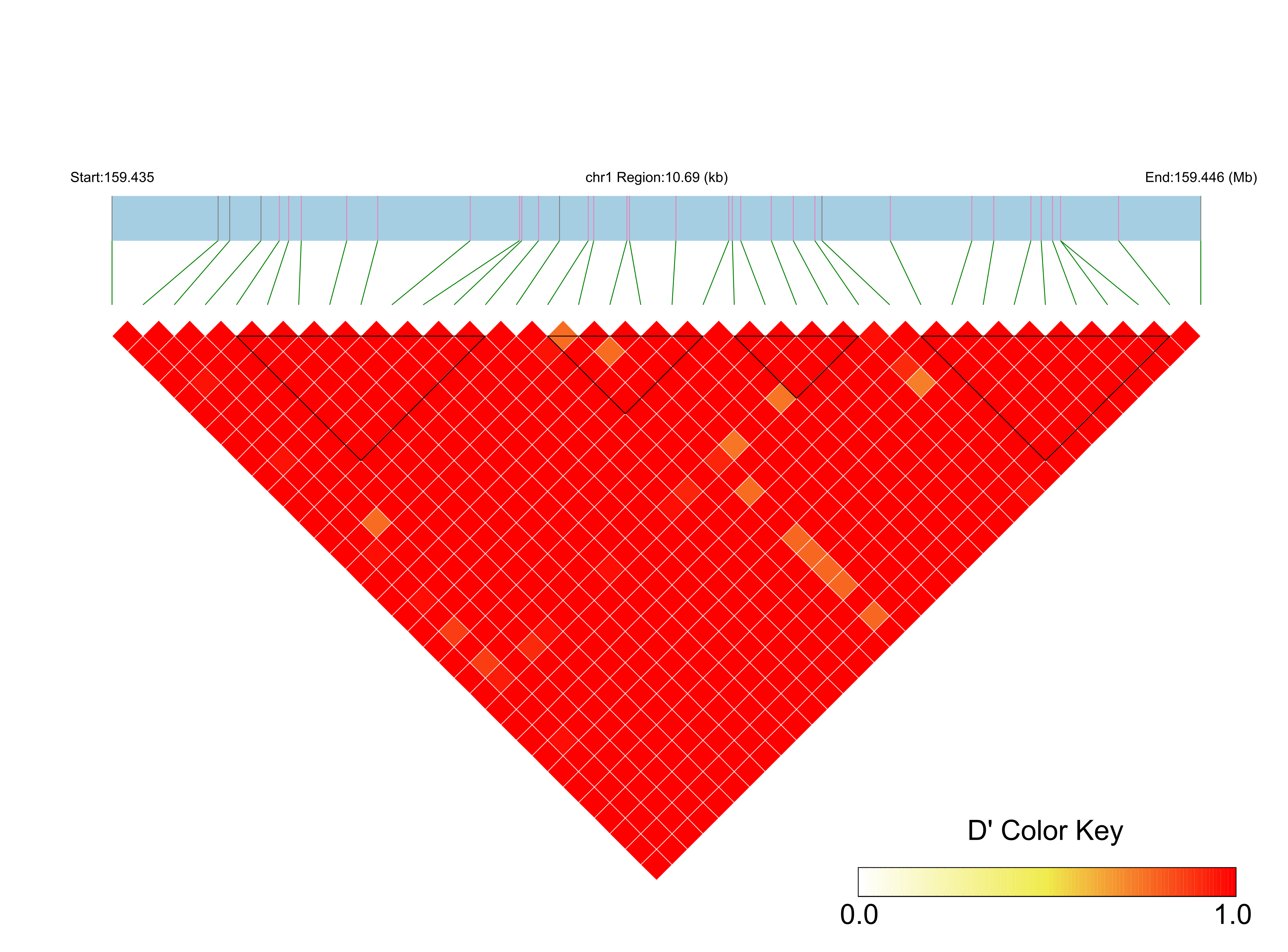 LD