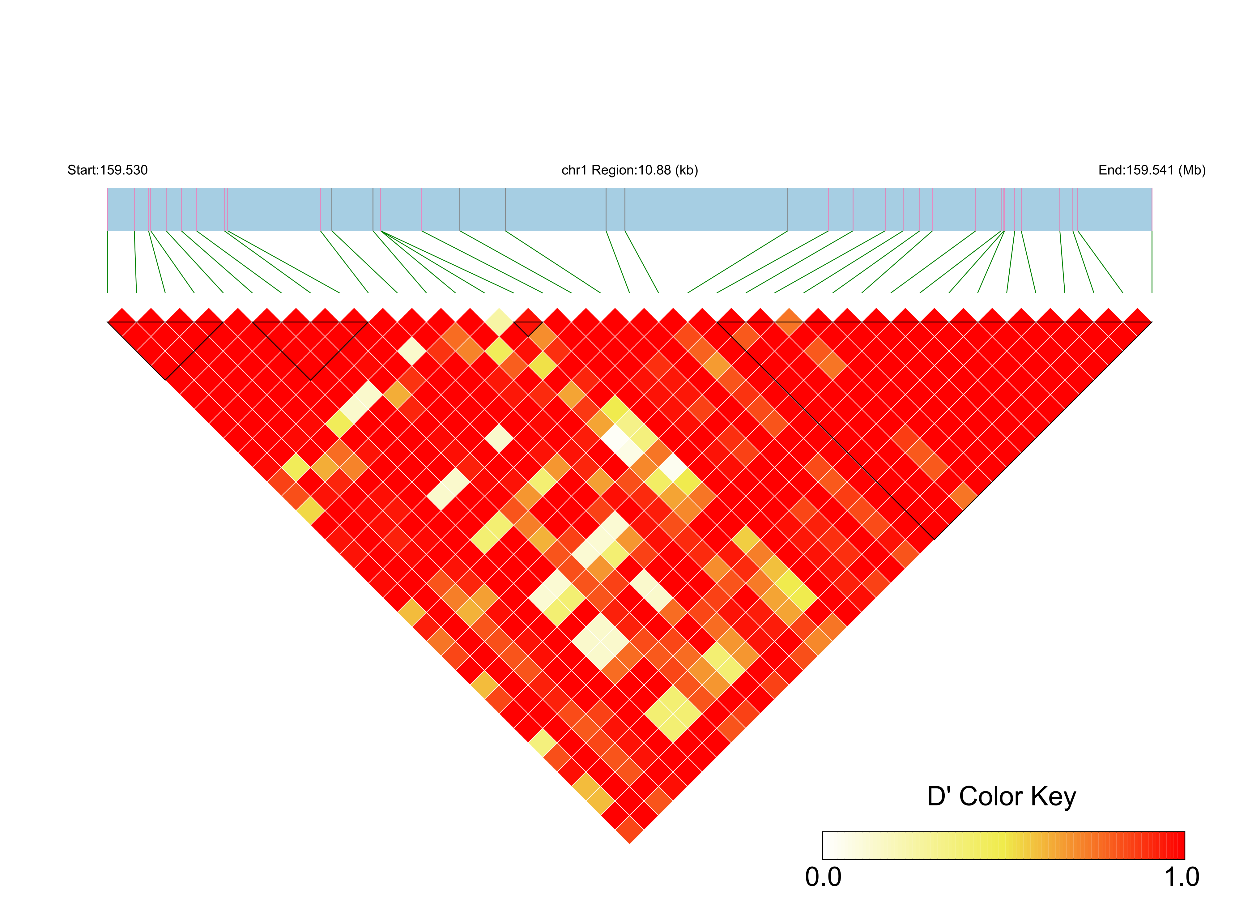 LD