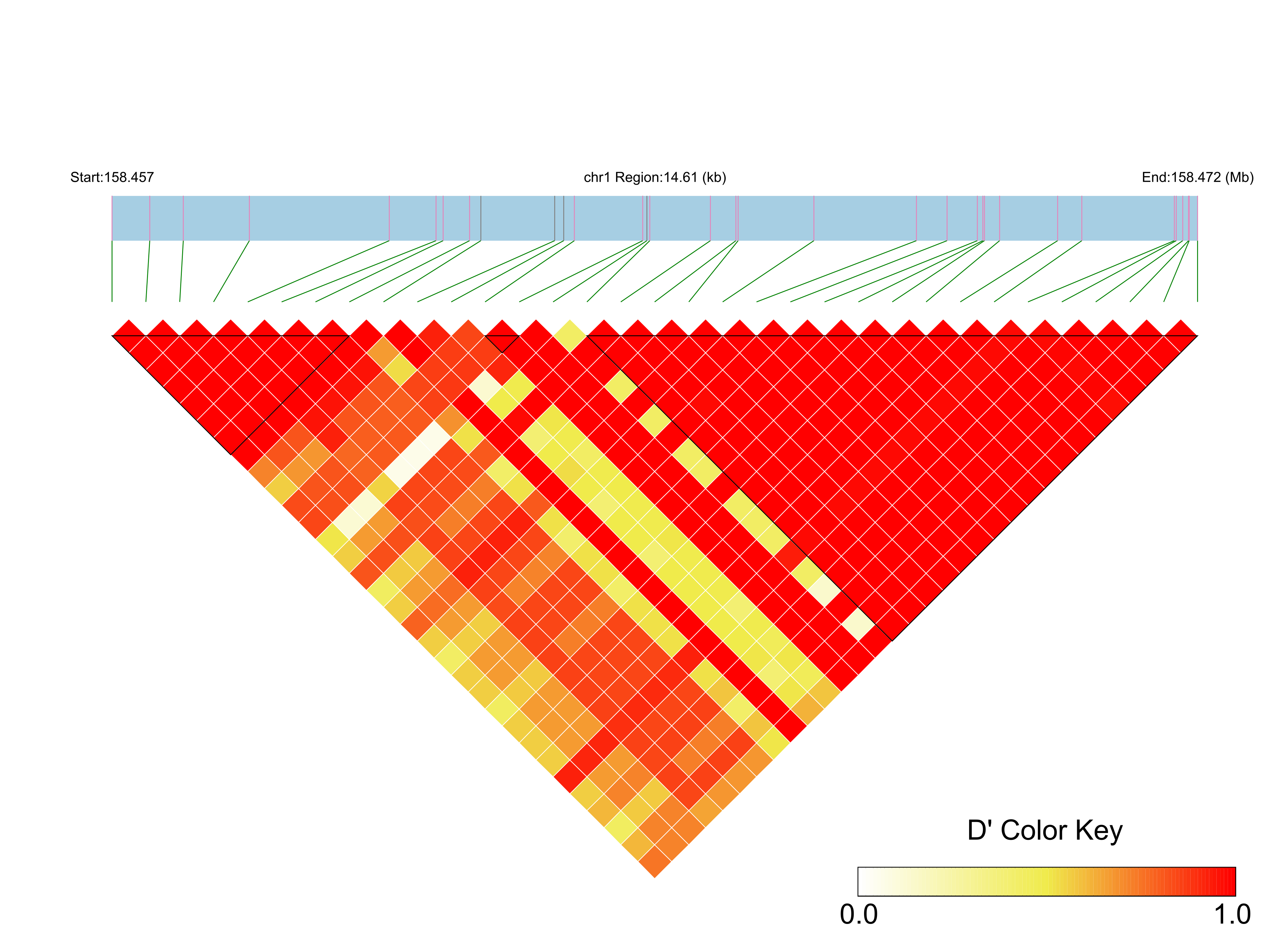 LD